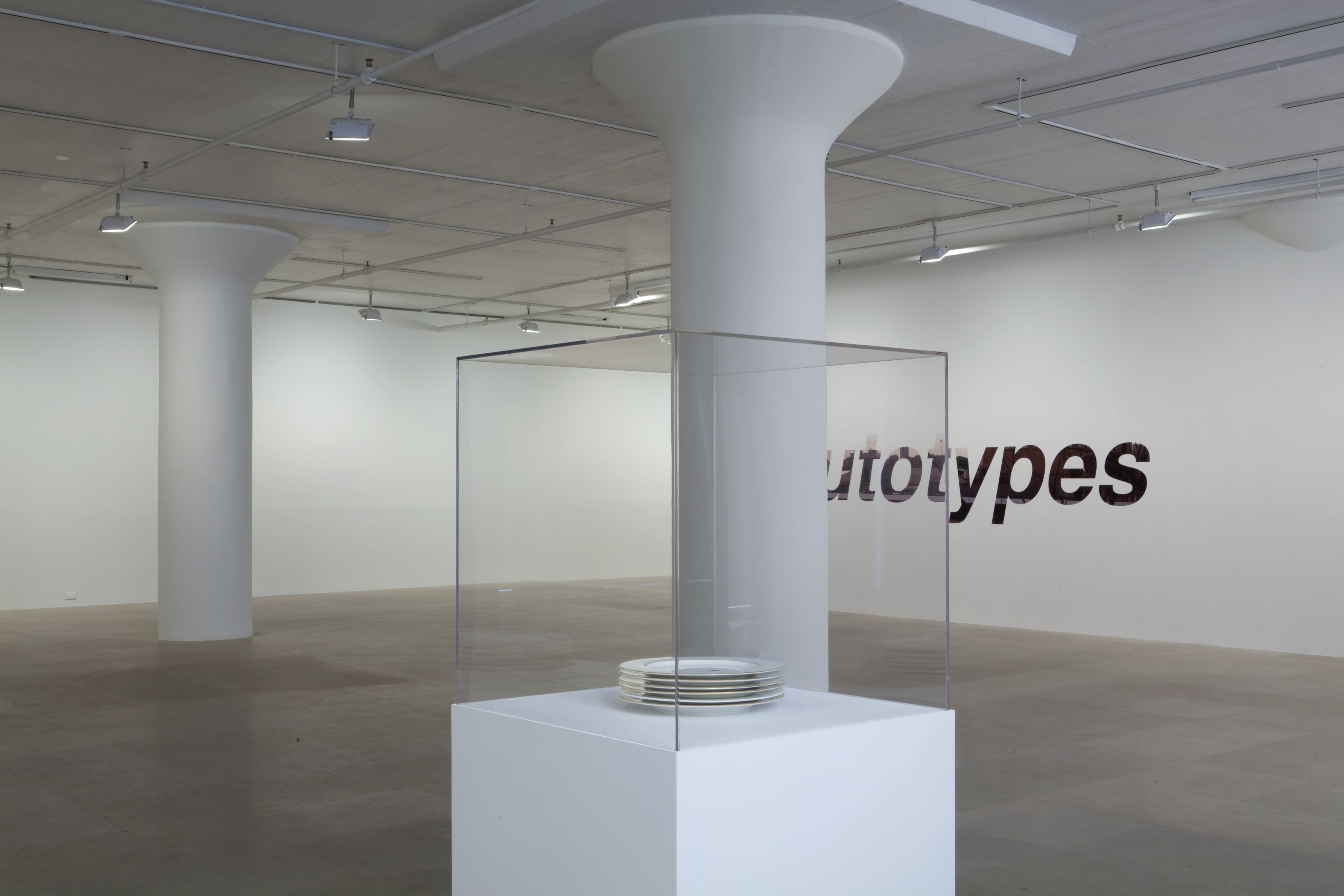 John Knight, Installation view, Autotypes, a work in situ, Greene Naftali, New York, 2011