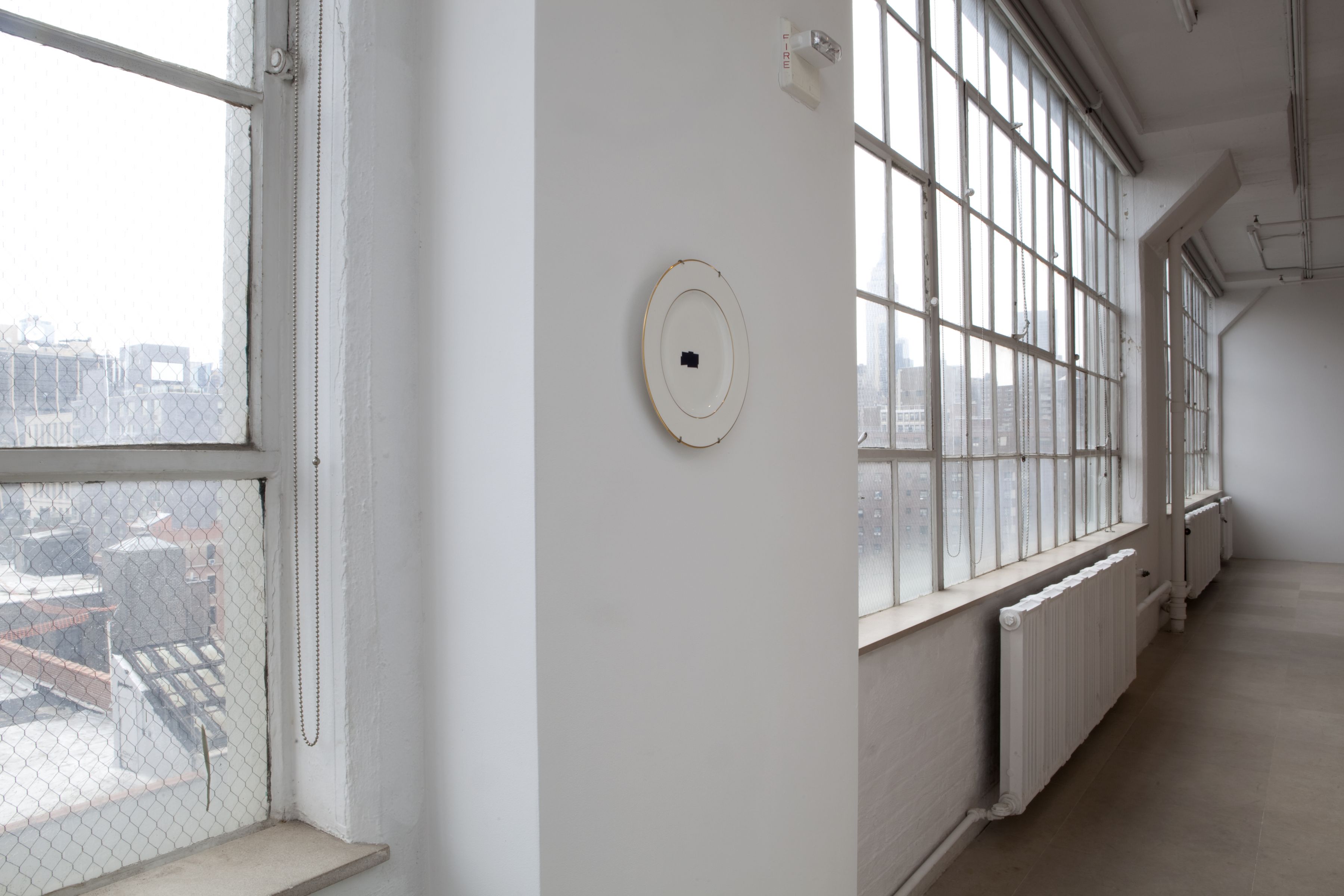 John Knight, Installation view, Autotypes, a work in situ, Greene Naftali, New York, 2011