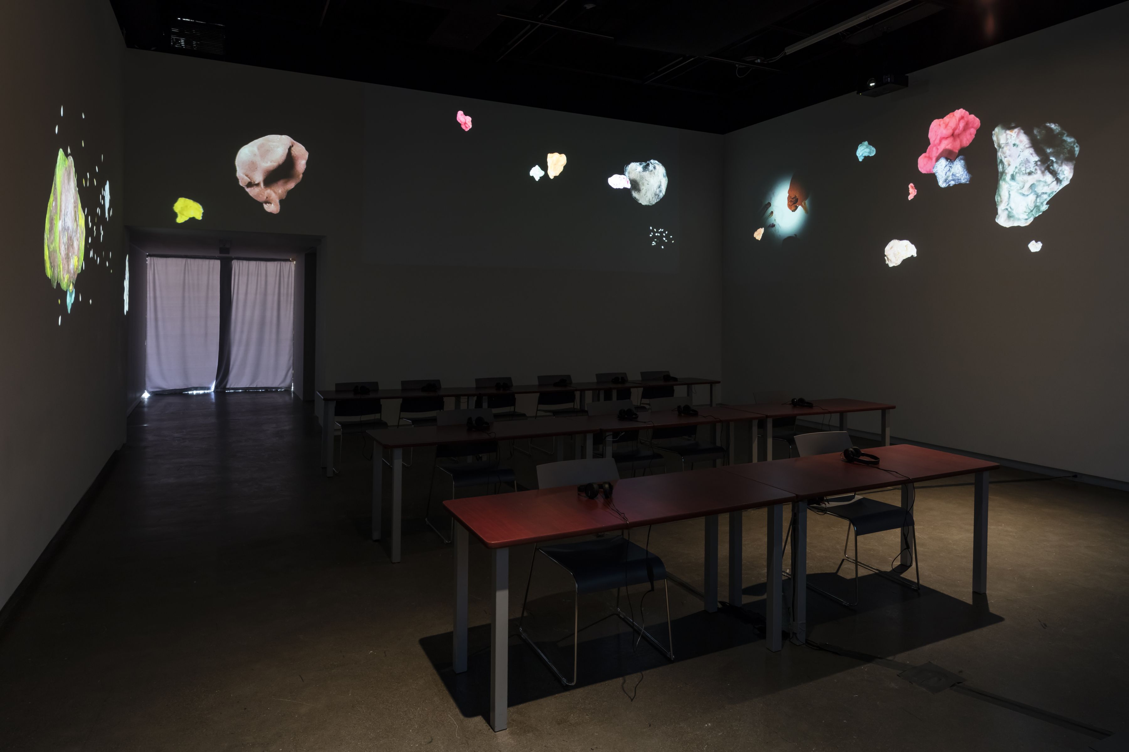 Installation view, Trisha Baga, Biologue, Gallery TPW, Toronto, 2018