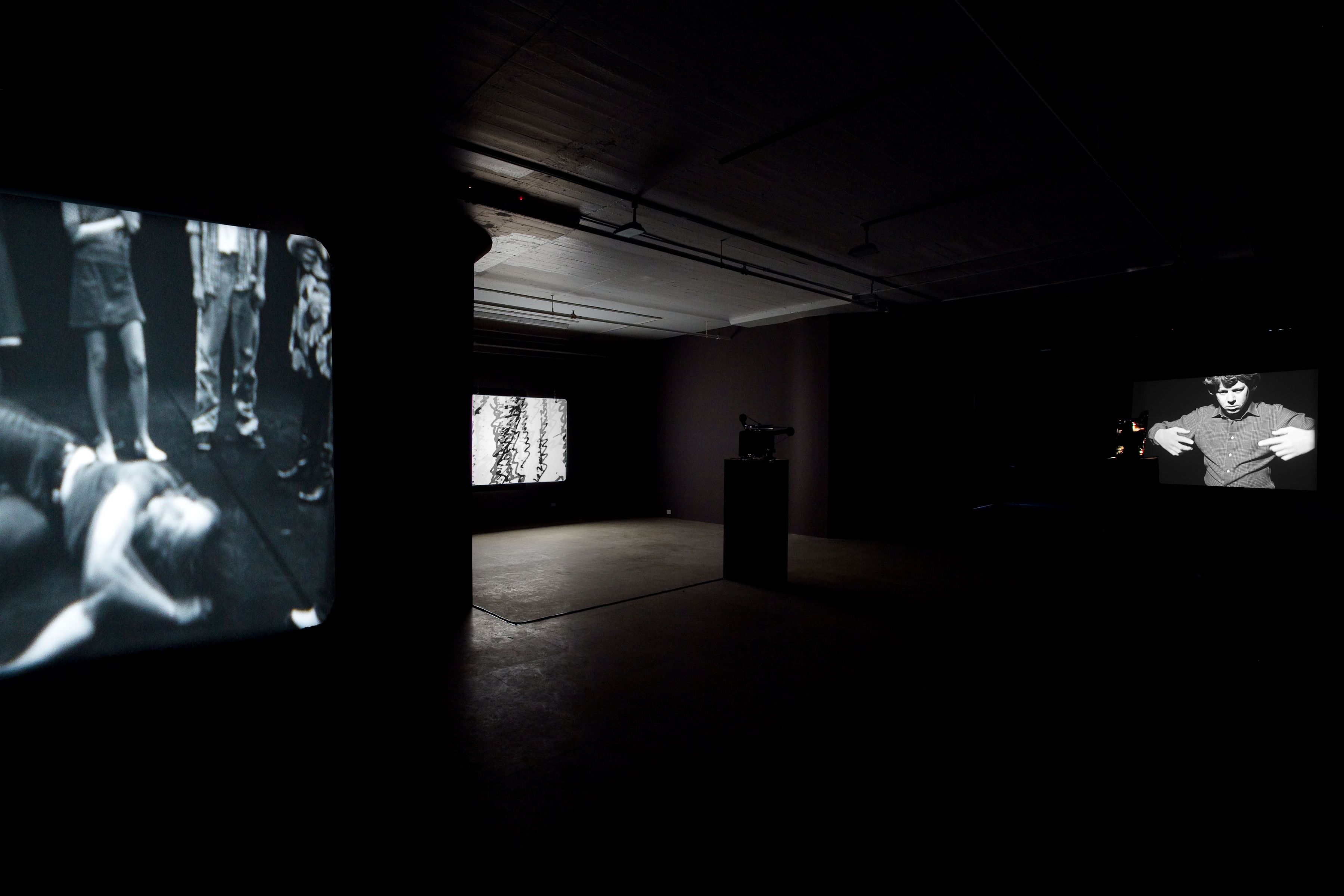 Joachim Koester, Installation view, From the Secret Garden of Sleep, Greene Naftali, New York, 2010
