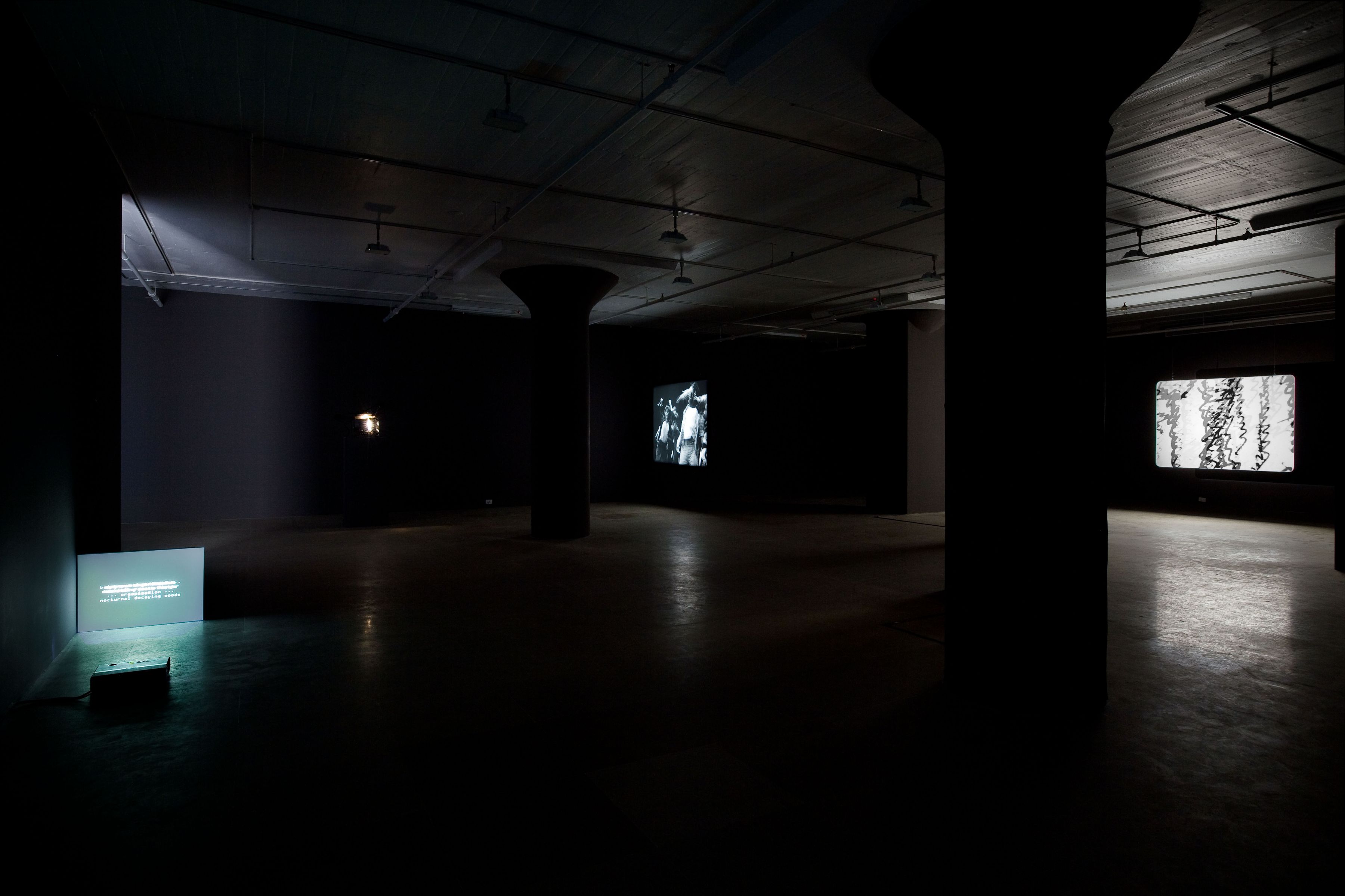 Installation view, From the Secret Garden of Sleep, Greene Naftali, New York, 2010