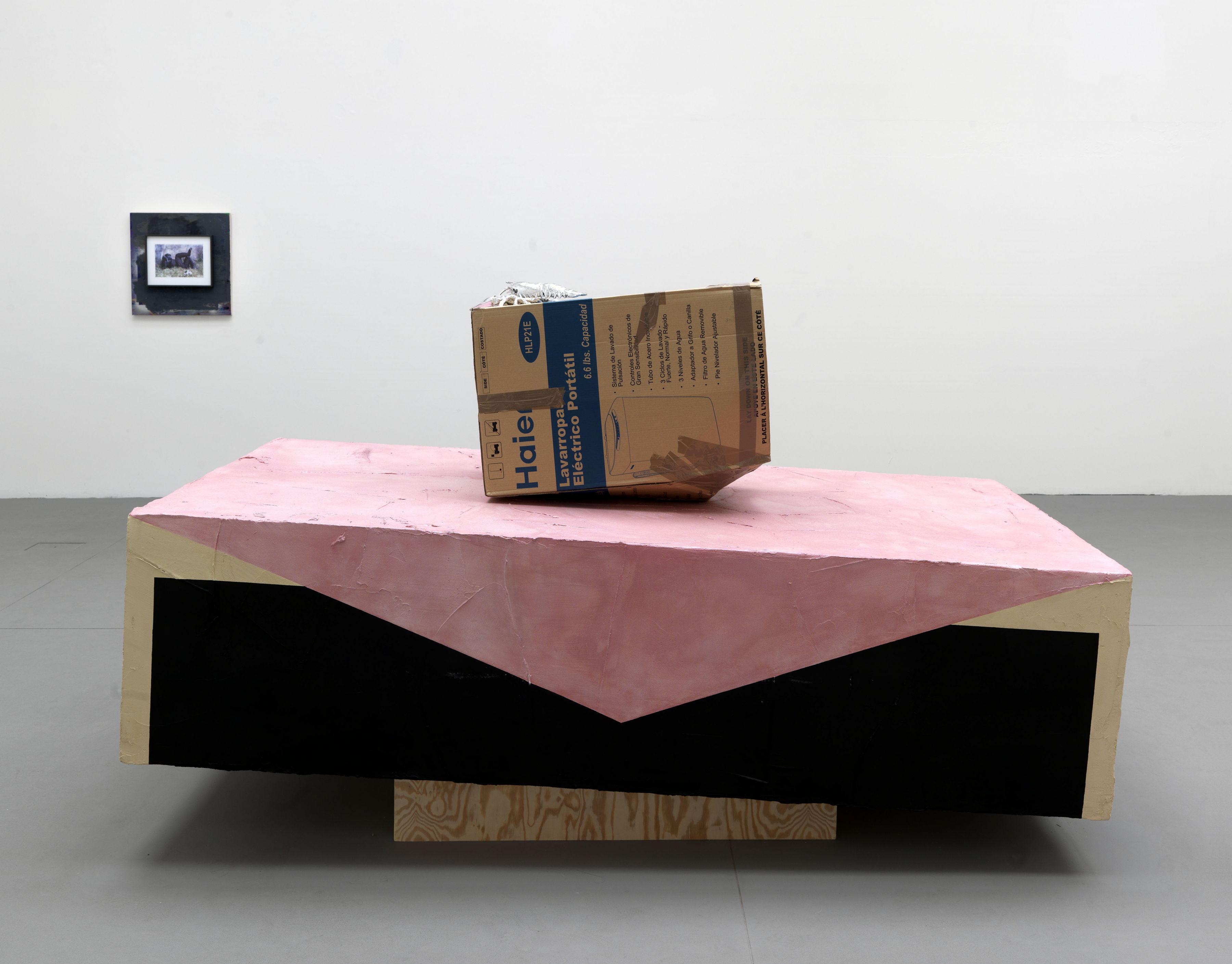 Rachel Harrison Greene Naftali Gallery, New York Venice Biennale, Venice, 2009