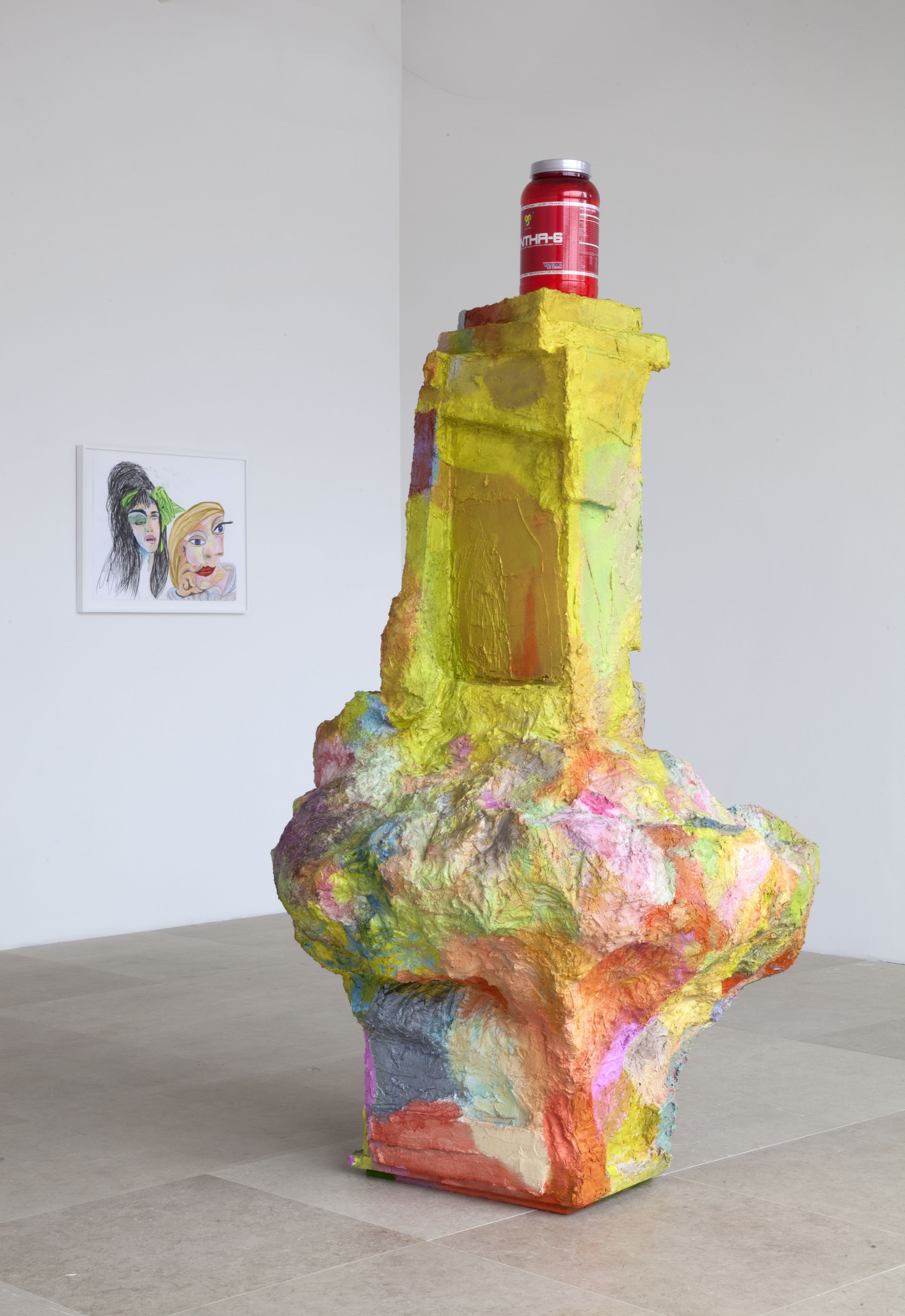 Rachel Harrison Greene Naftali Gallery New York Installation view The Help 2012
