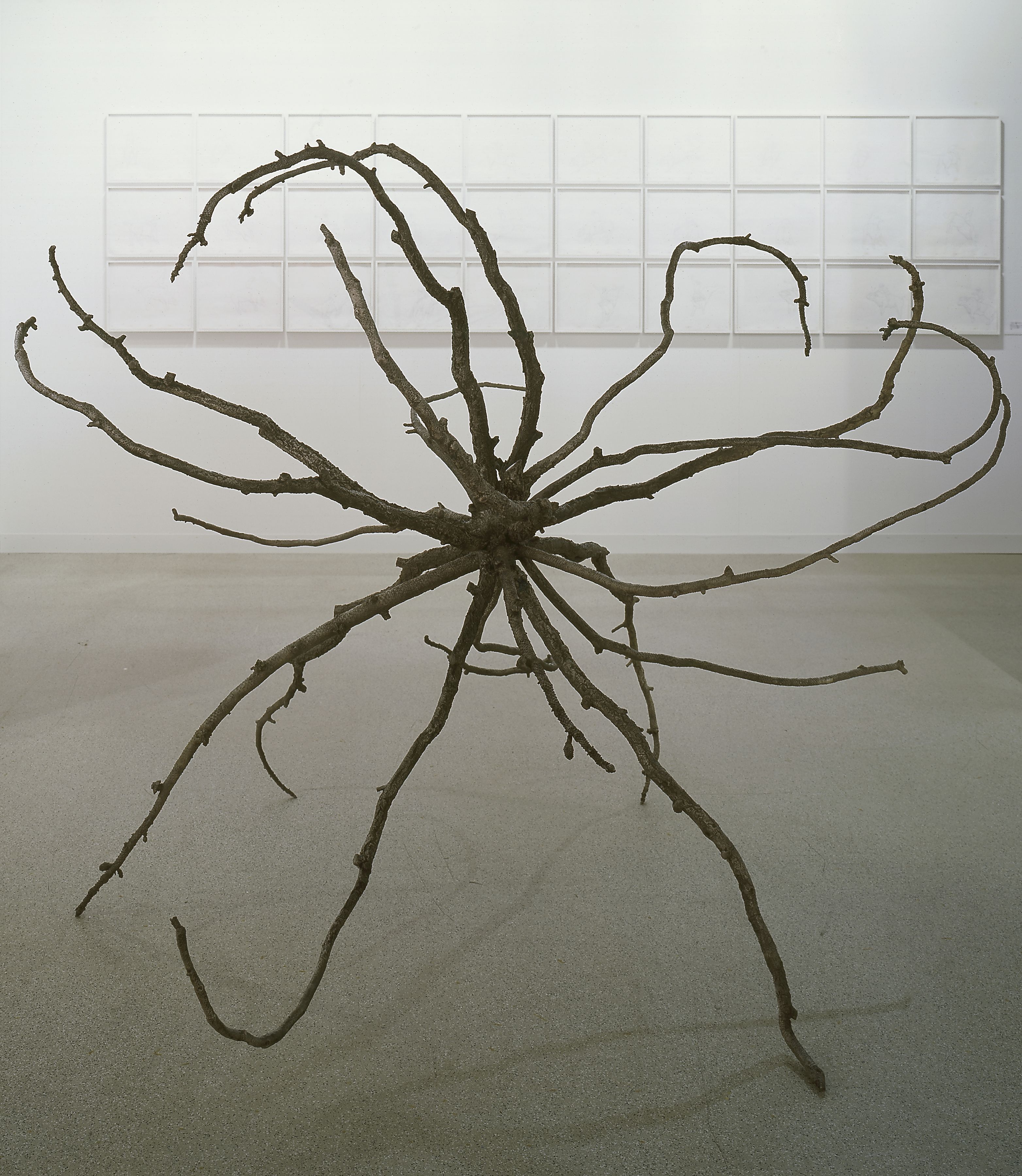 Liz Larner, Ghost Story