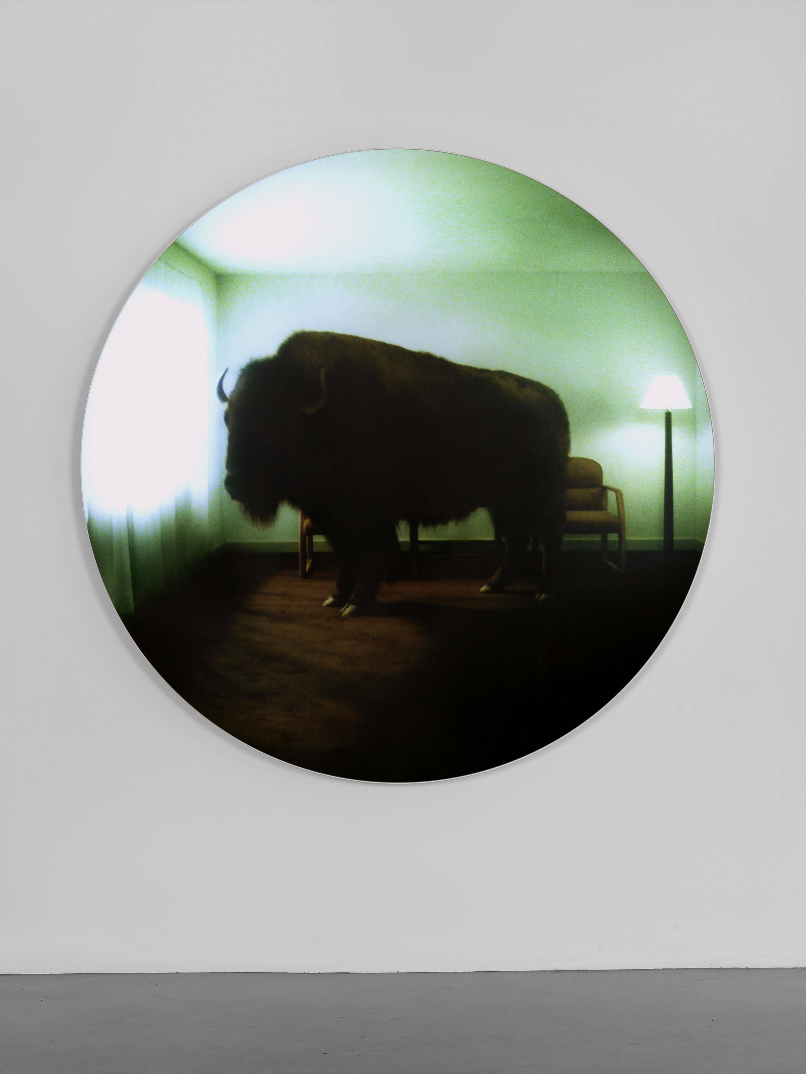 doug aitken - buffalo