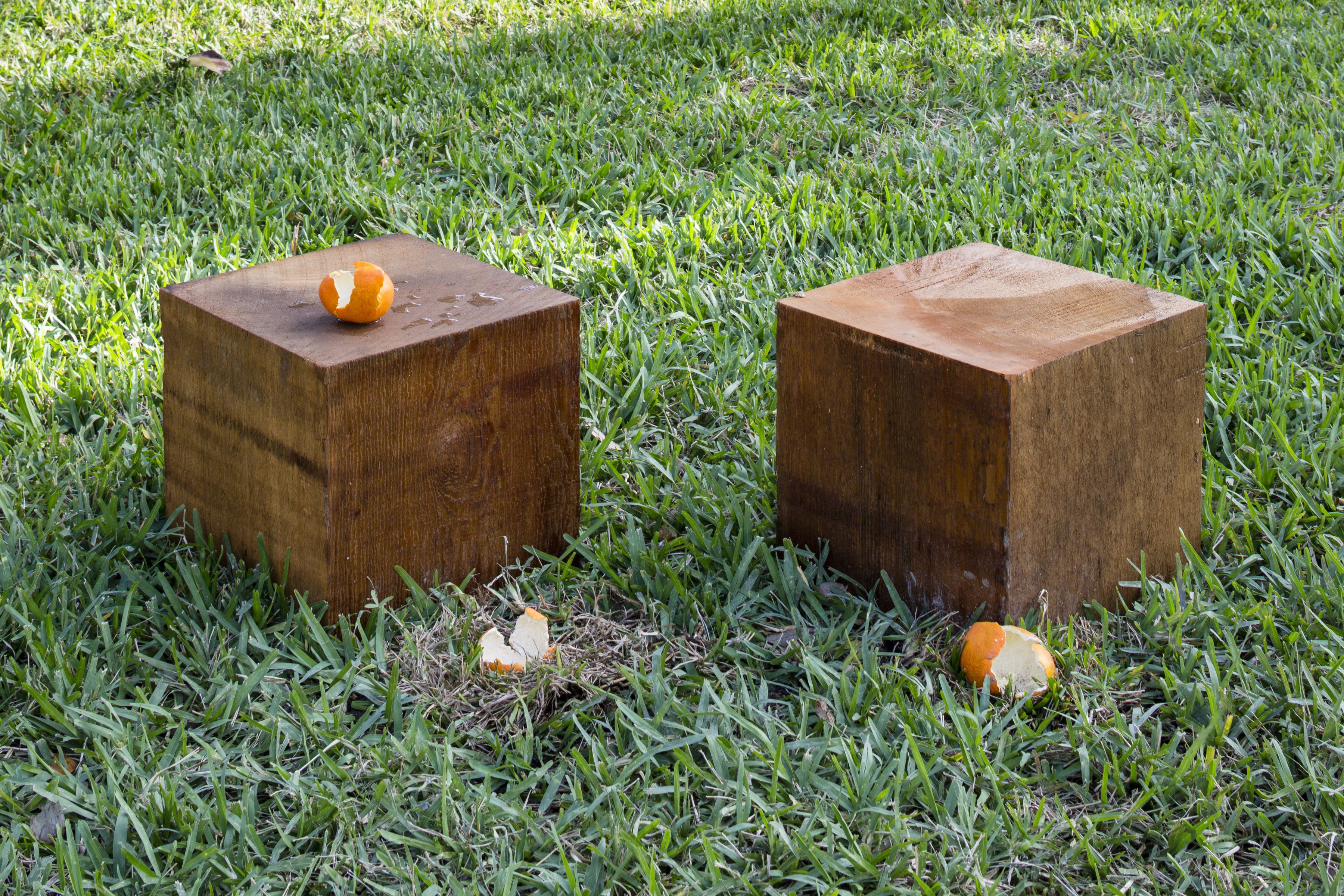 Untitled (Park Installation) (detail), 2016
