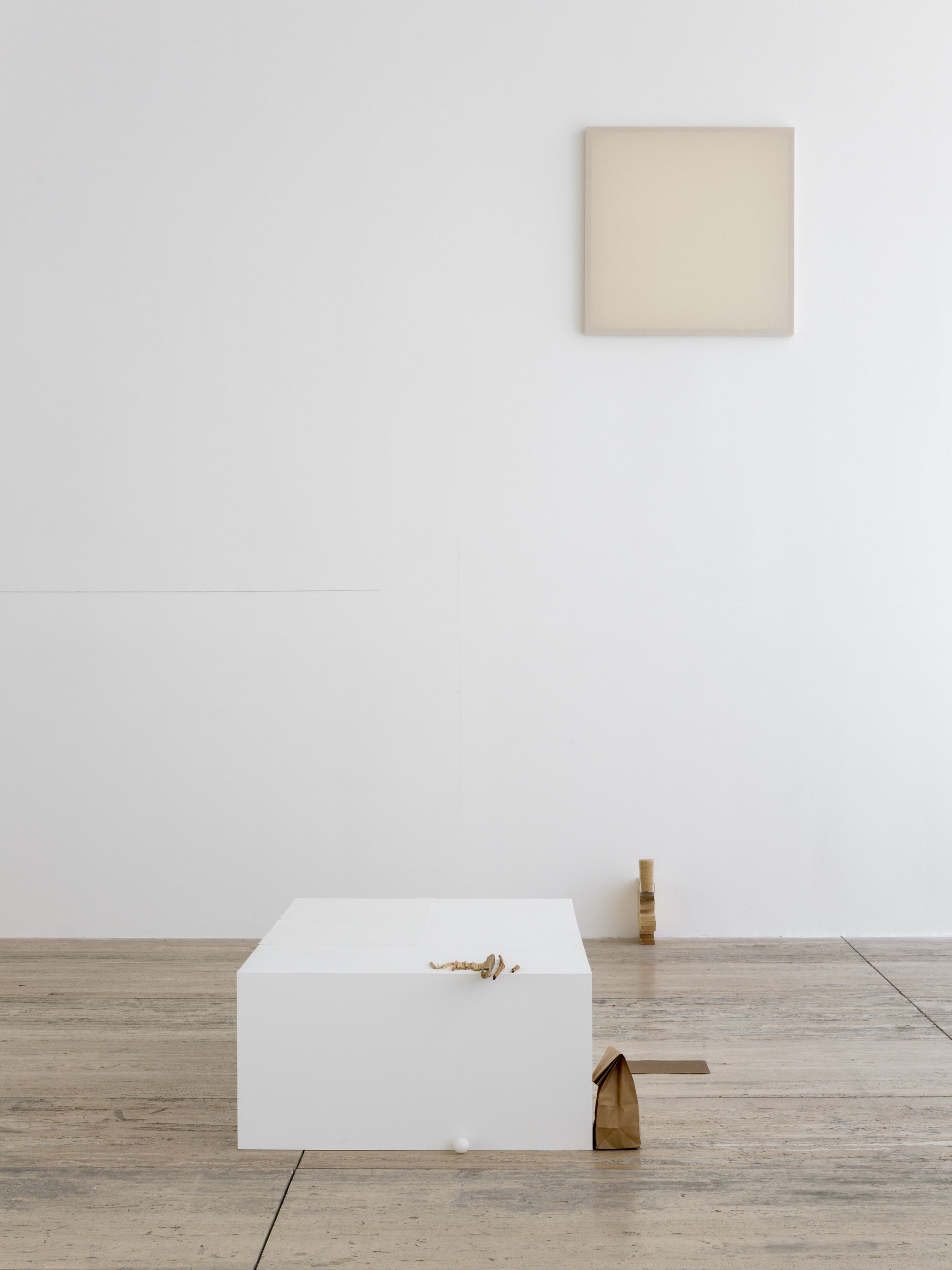 Fernanda Gomes, Museo Jumex, Mexico City