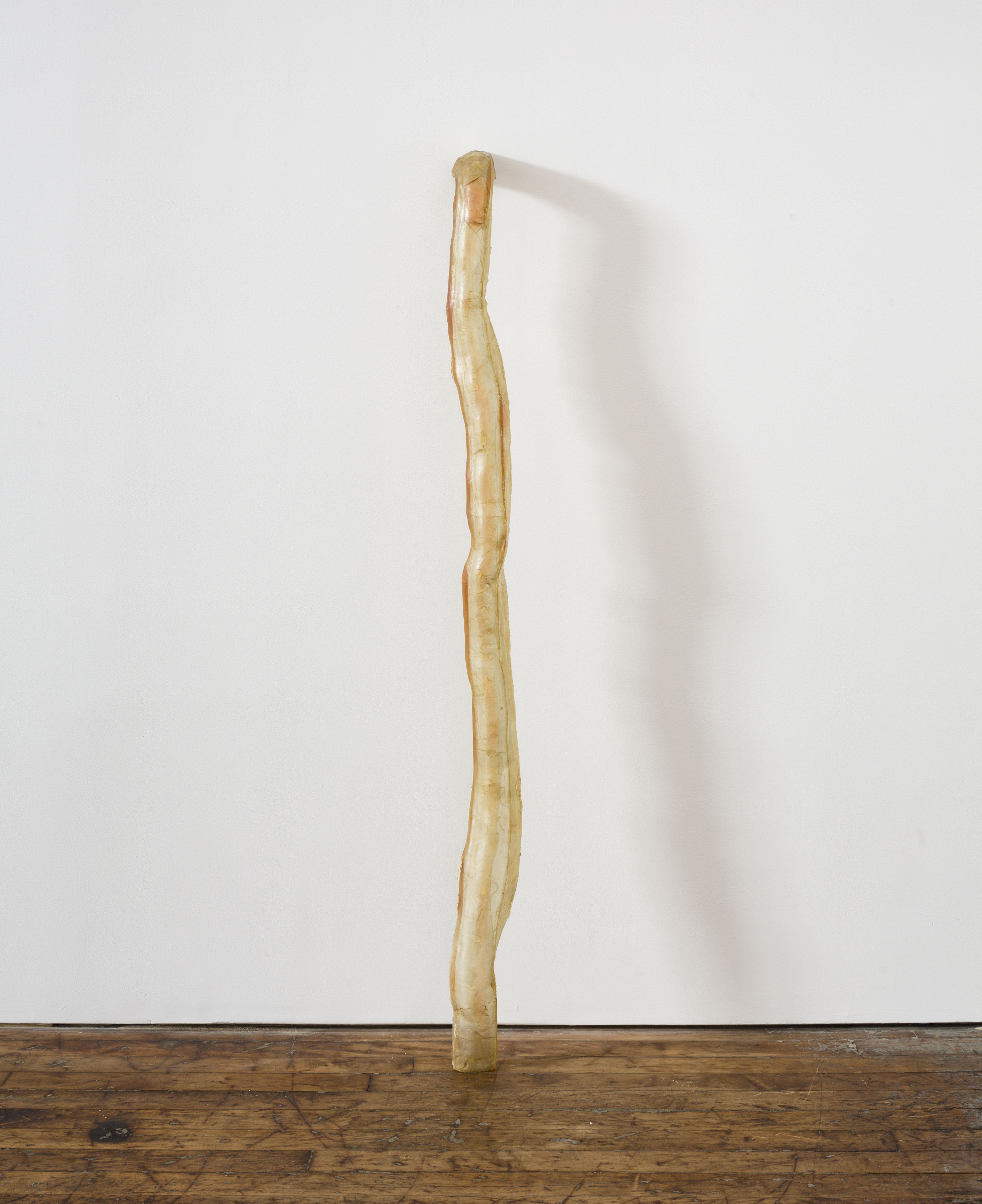 Bruce Nauman Untitled