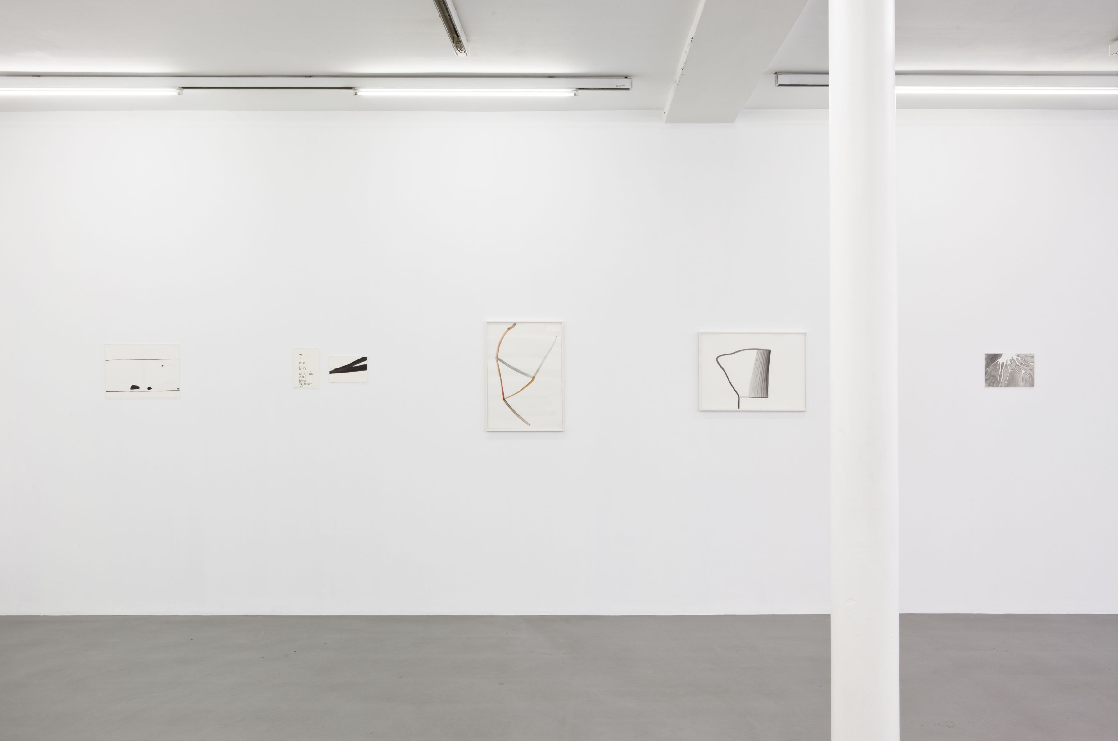Silvia Bächli, Peter Freeman, Inc., Paris