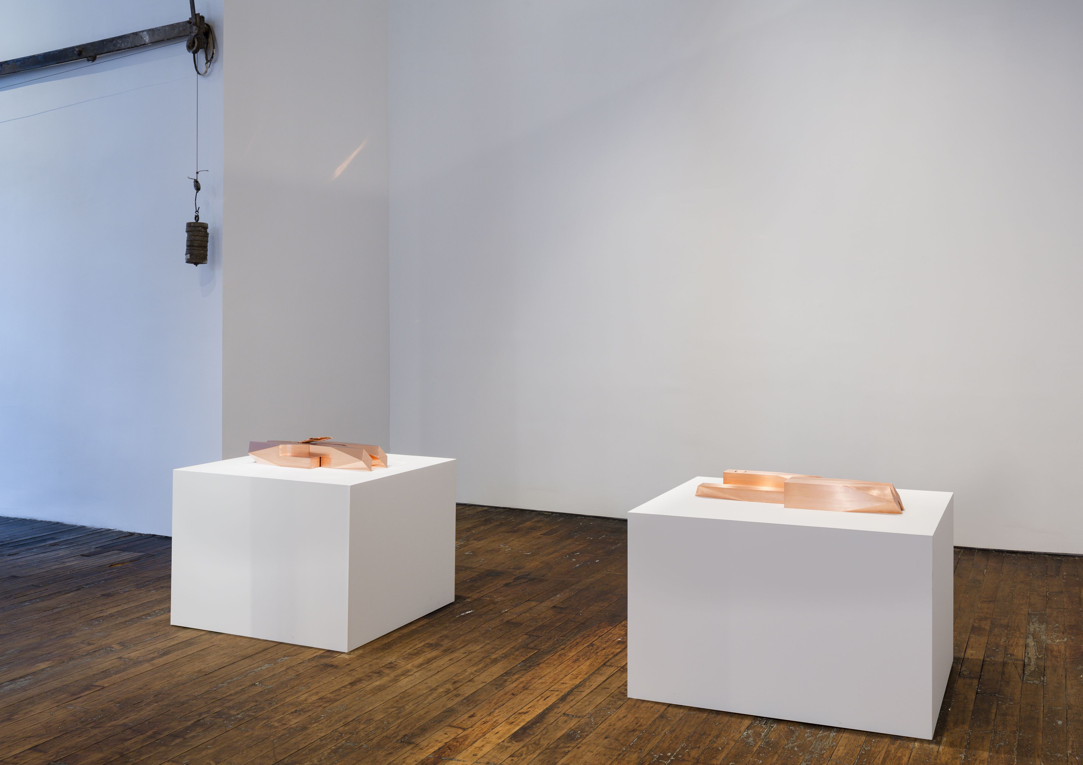 Lucy Skaer: Sentiment – installation view 3