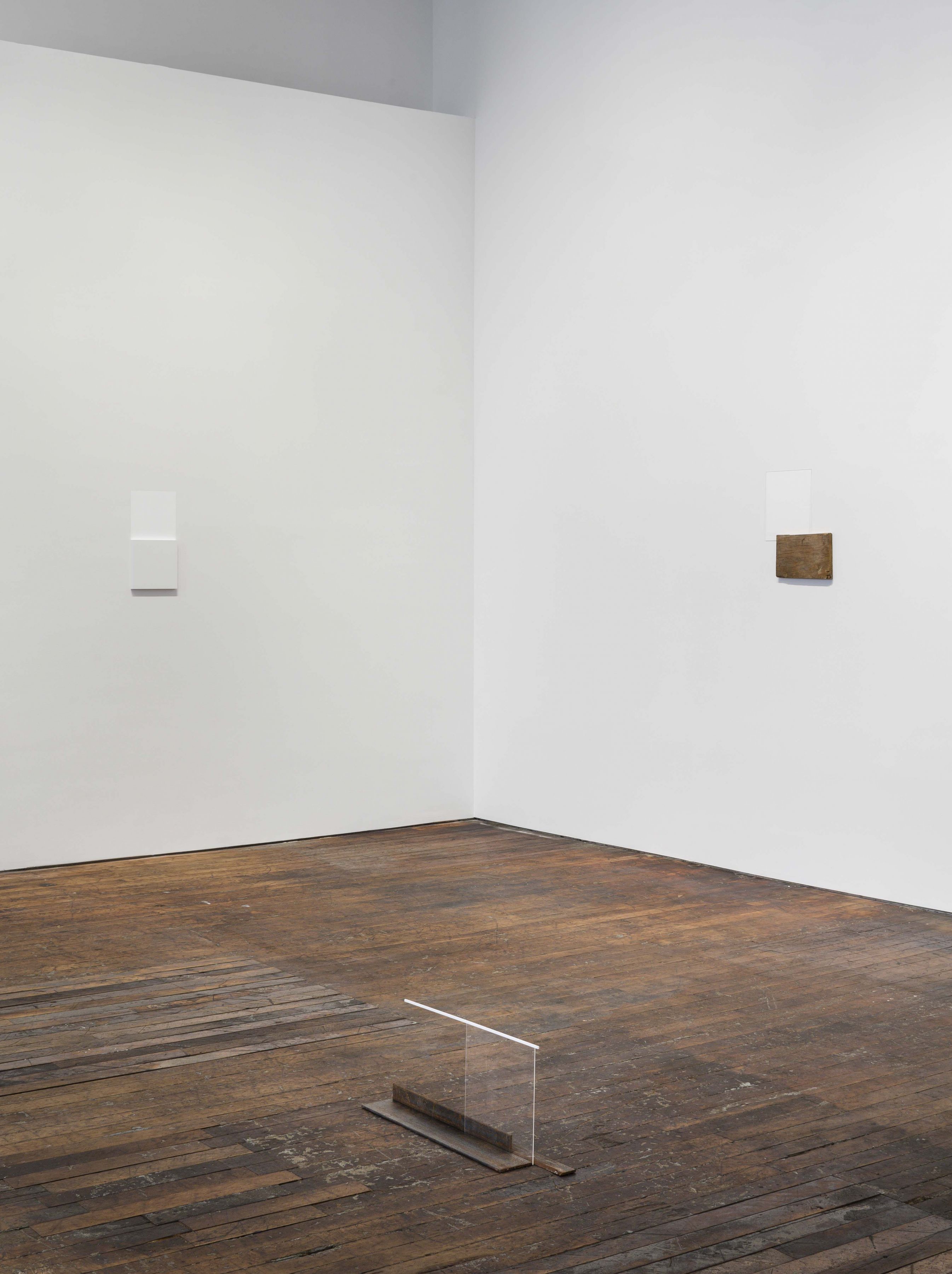 Summer Reading Francis Alÿs, Massimo Bartolini, Jimmie Durham, Fernanda Gomes 