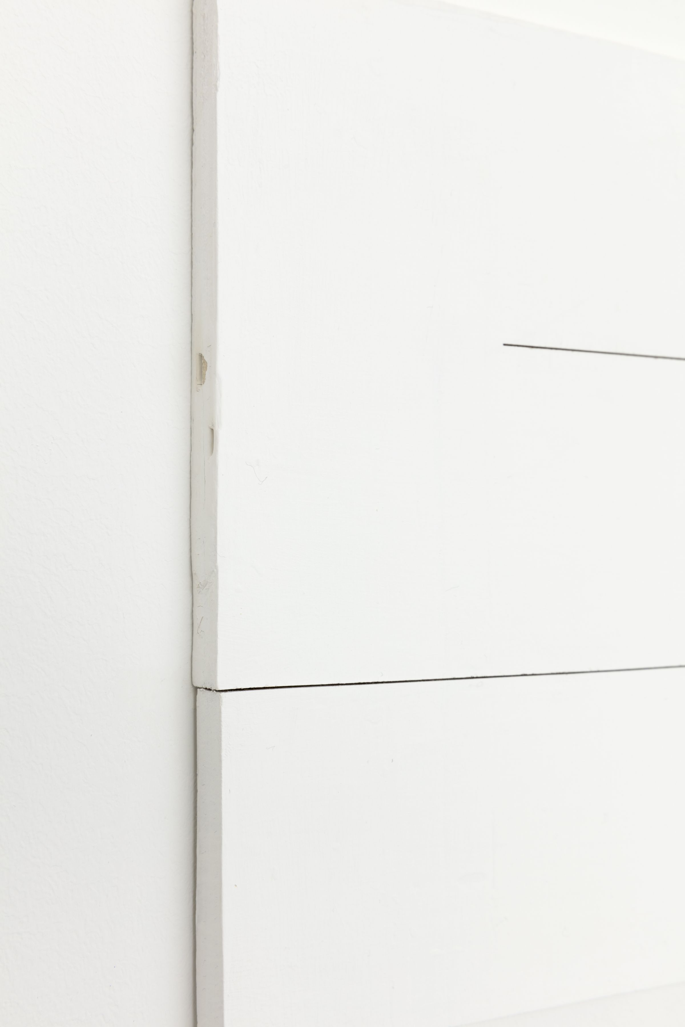 Fernanda Gomes, Untitled (detail) 