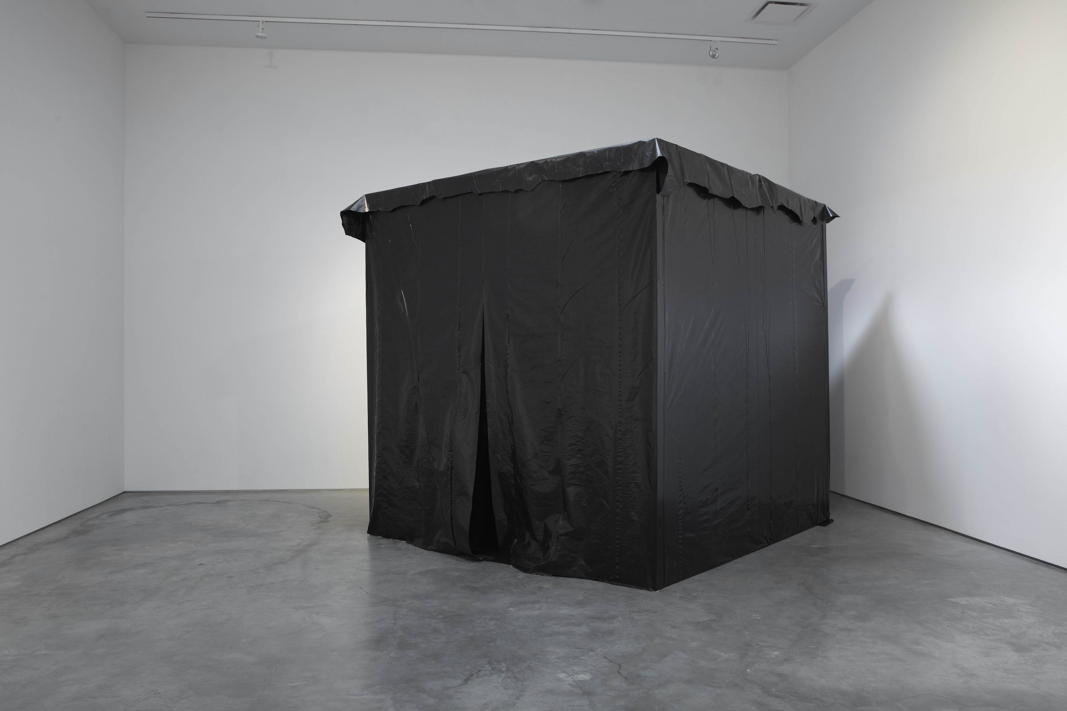 I Bleed Black (Installation View), Marianne Boesky Gallery, 2011