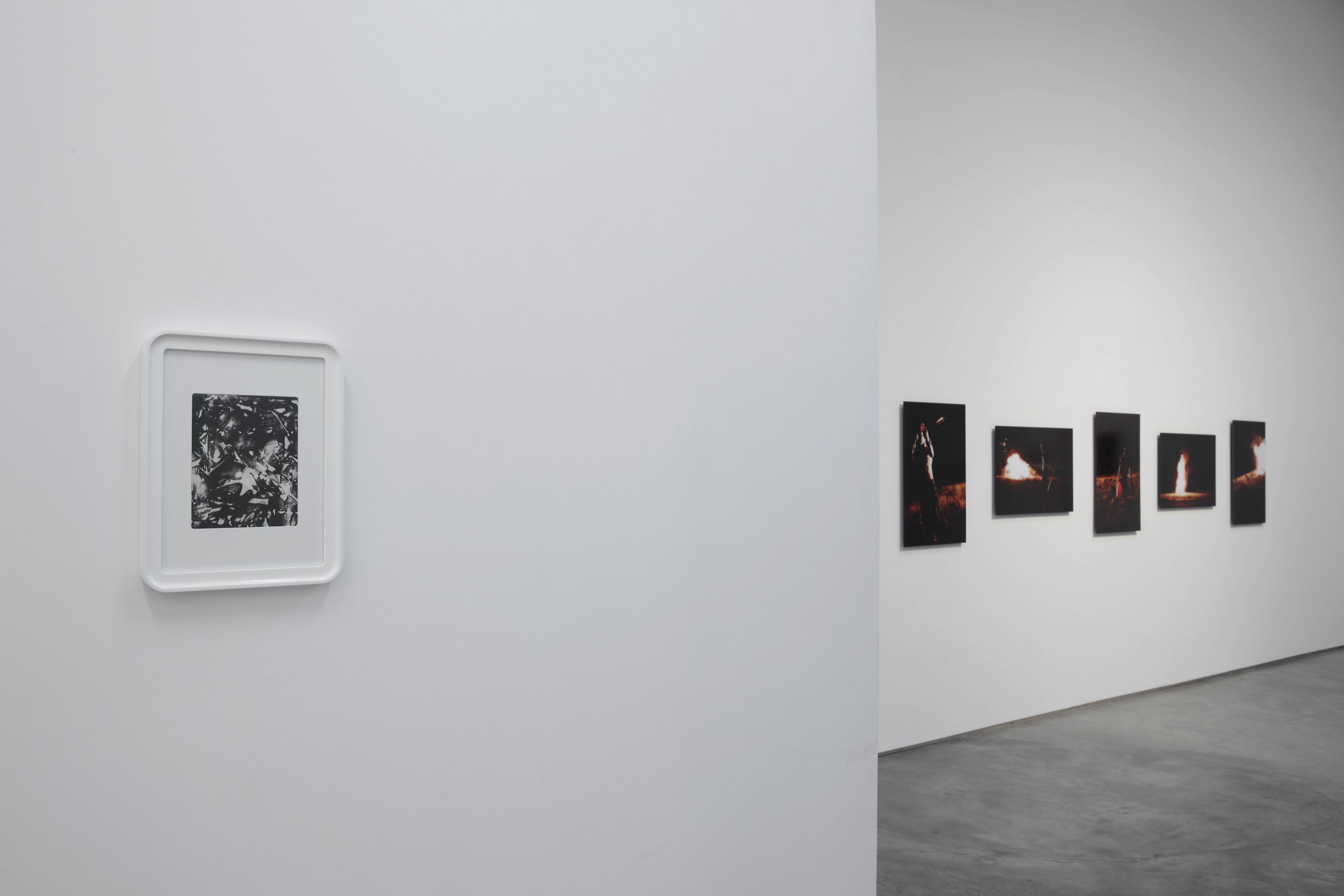 I Bleed Black (Installation View), Marianne Boesky Gallery, 2011