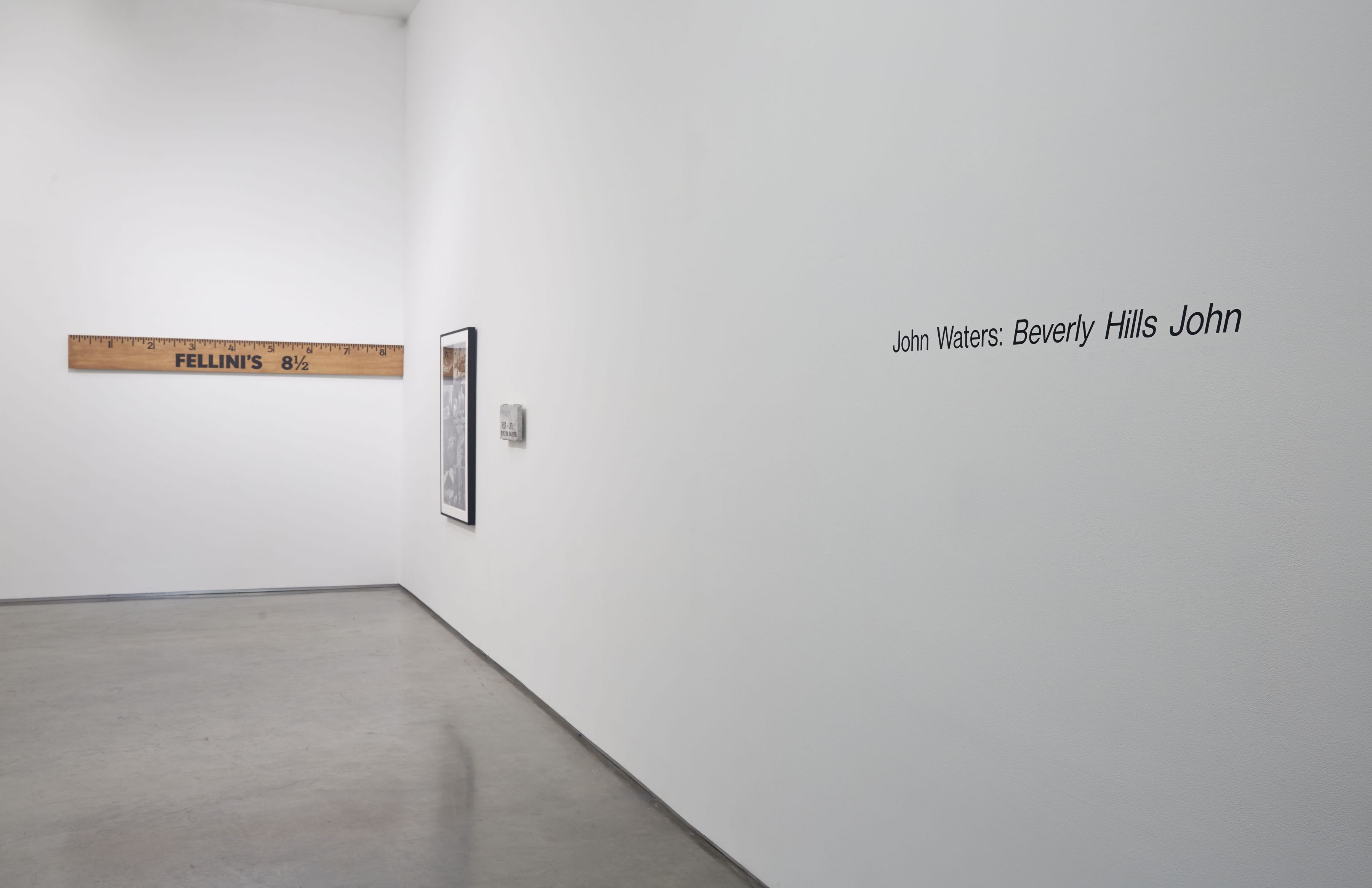 Beverly Hills John (Installation View), Marianne Boesky Gallery, 2015