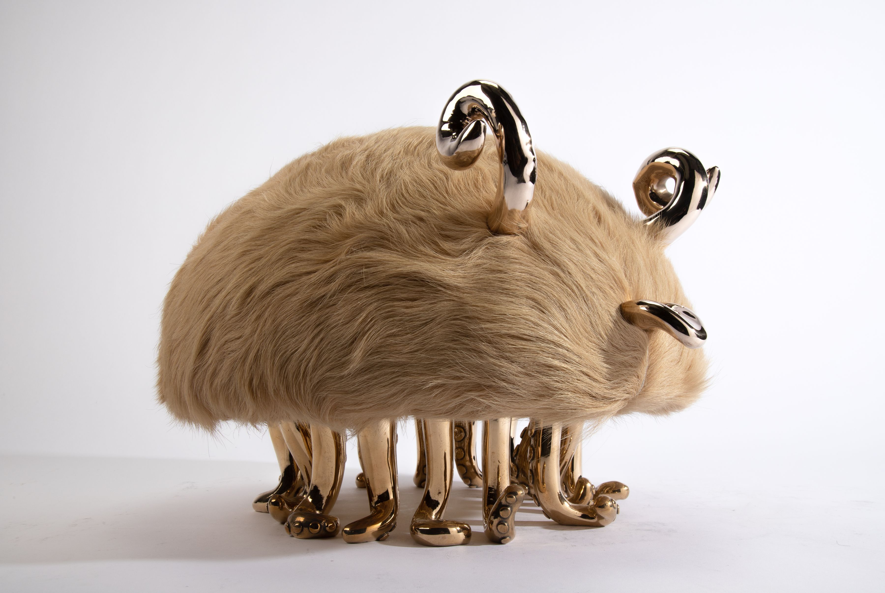 Si-Horny Weaver, 2018