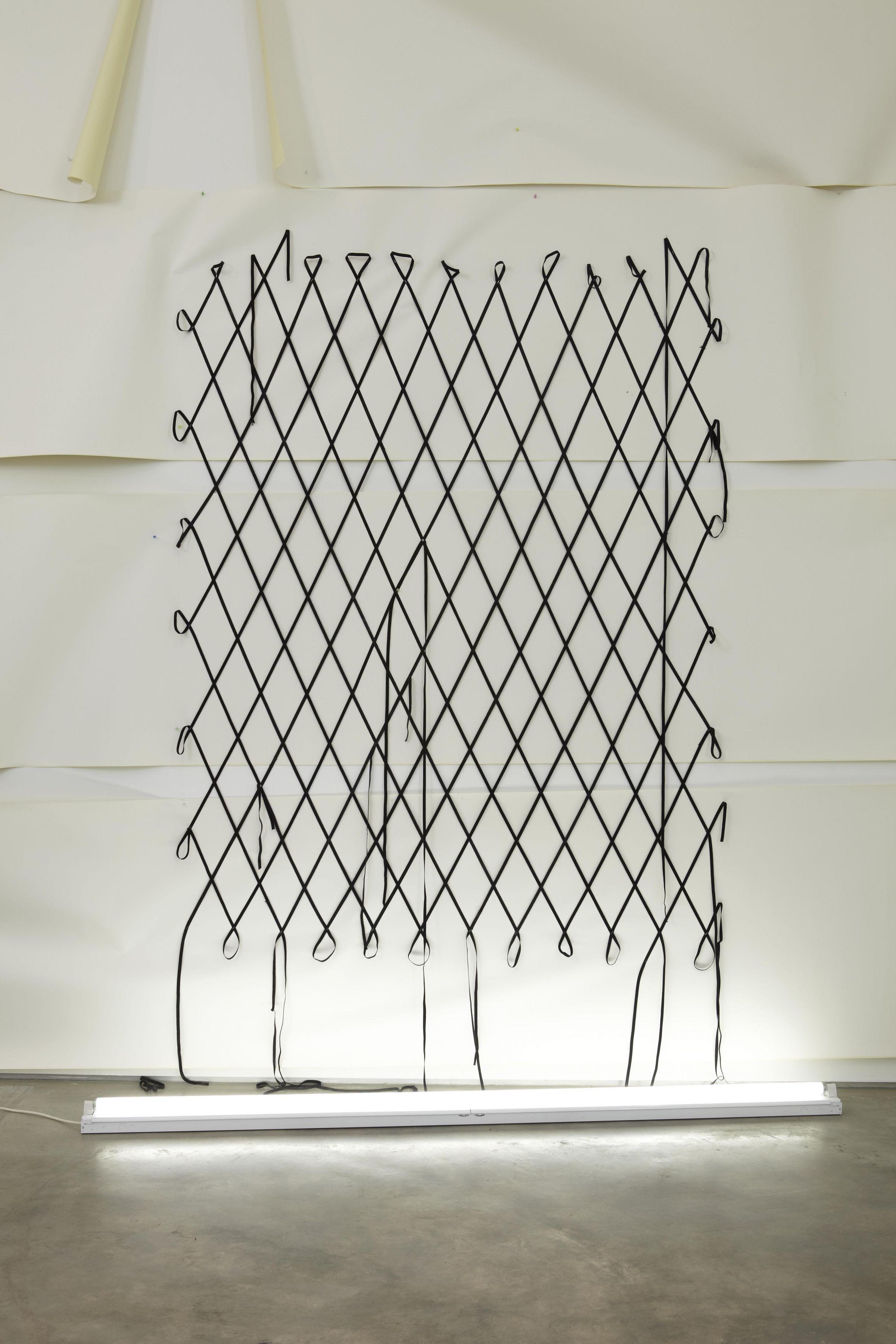 Yuichi Higashionna, Elastic Installation, 2011