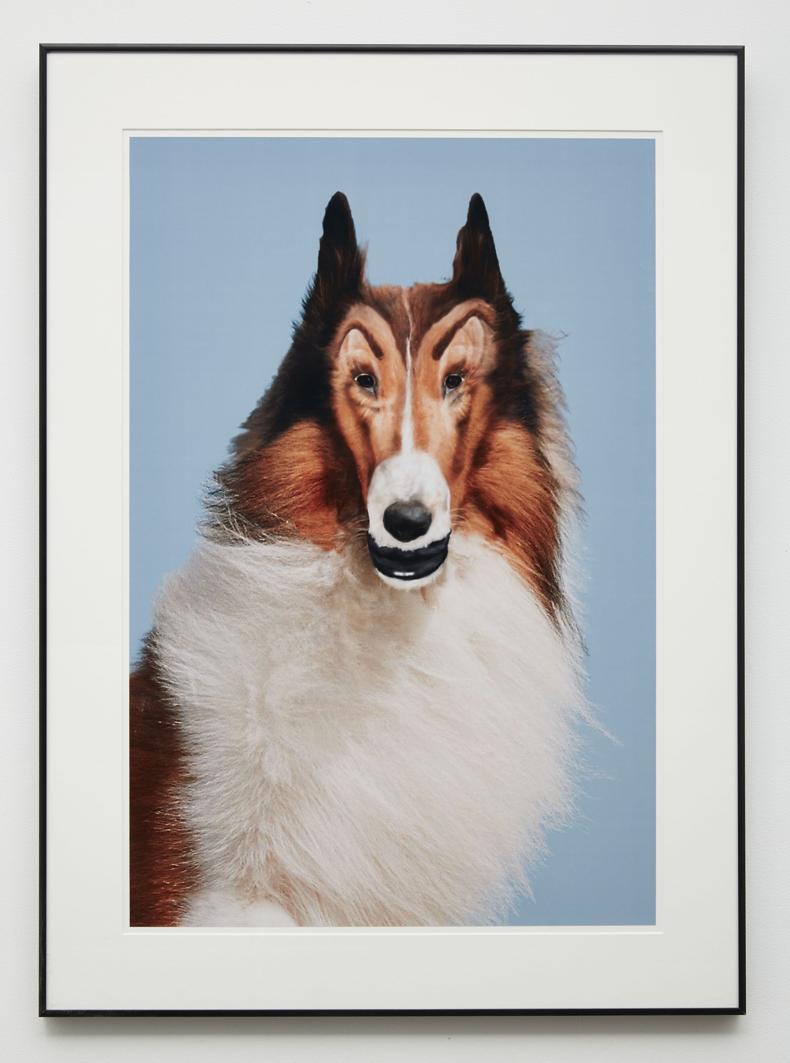 an edited photograph of Lassie created by Baltimore-based artist John Waters