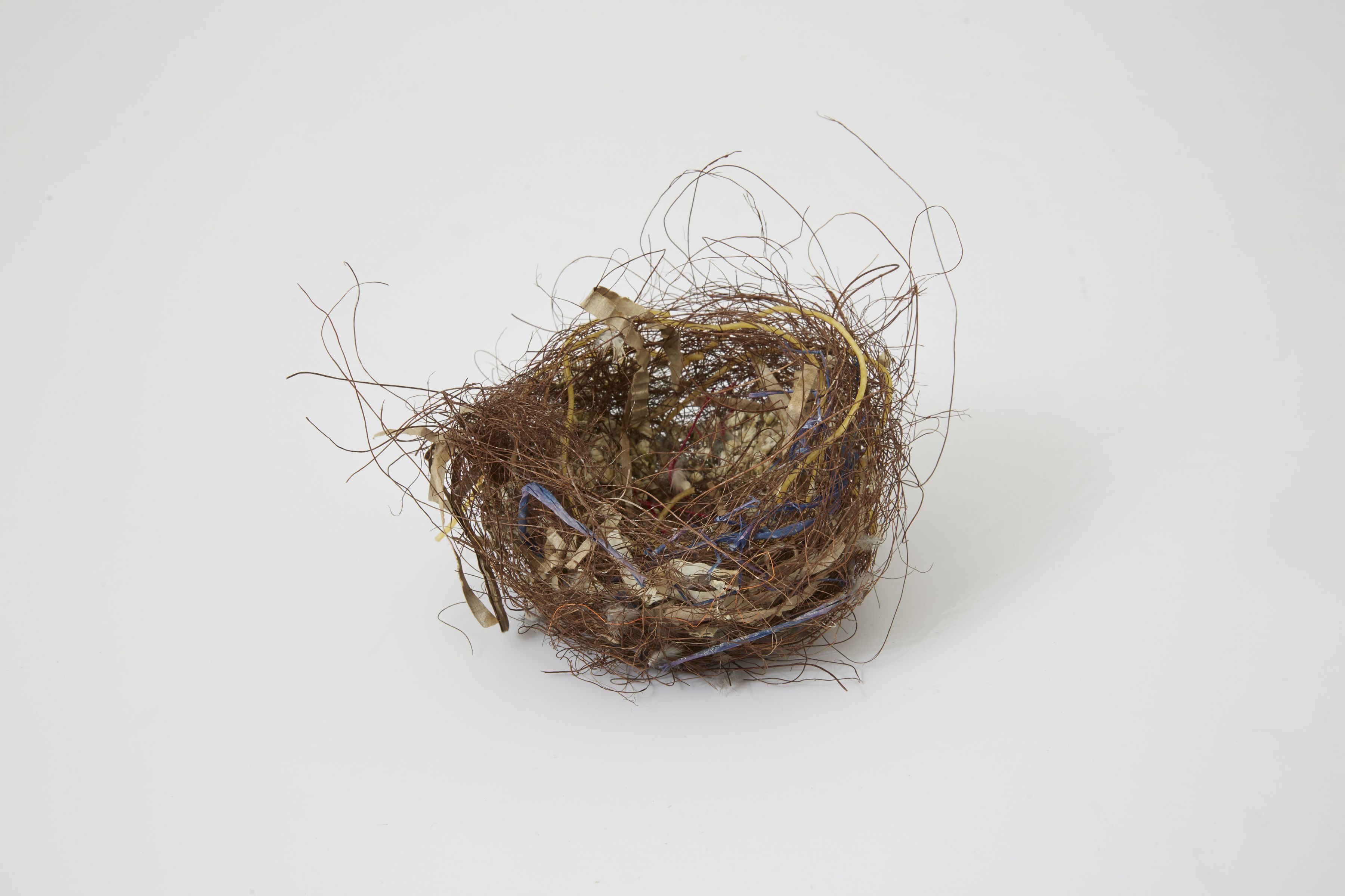 a nest fiber artwork by German contemporary artist Bjorn Braun