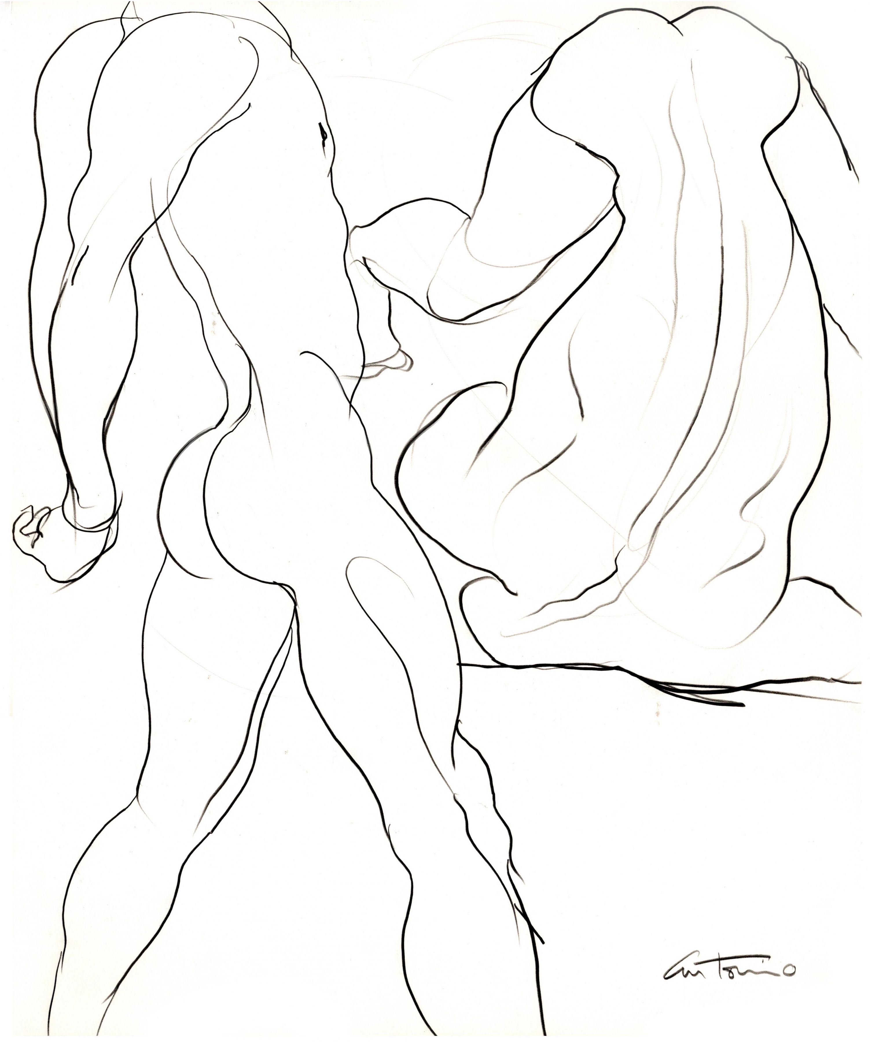 Drawing of gymnast by Antonio Lopez