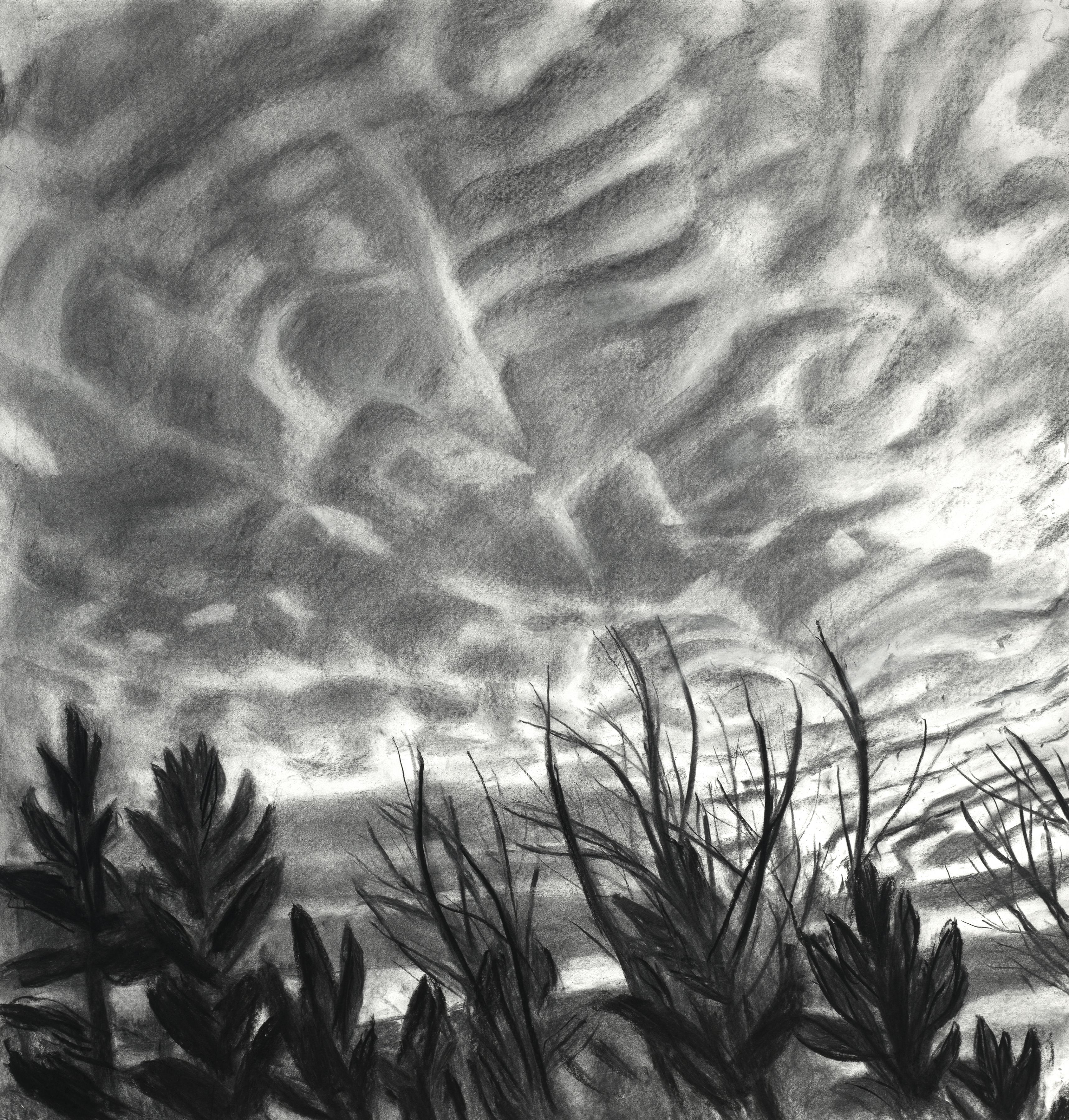 Mackerel Sky III, 44" x 42", Charcoal On Paper