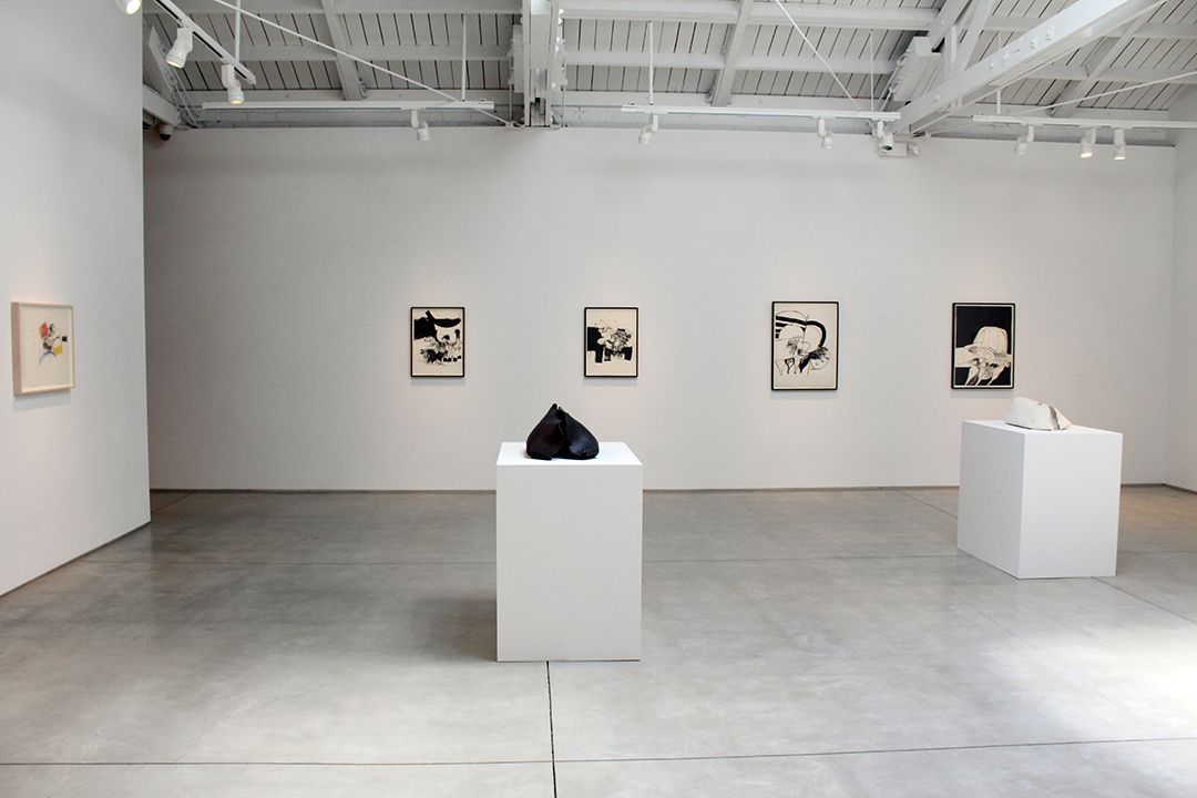 Hannah Wilke Drawings and Sculptures, installation view