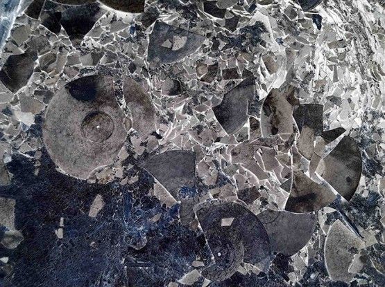 IPS #5936 (Broken Vinyl 4), 2011