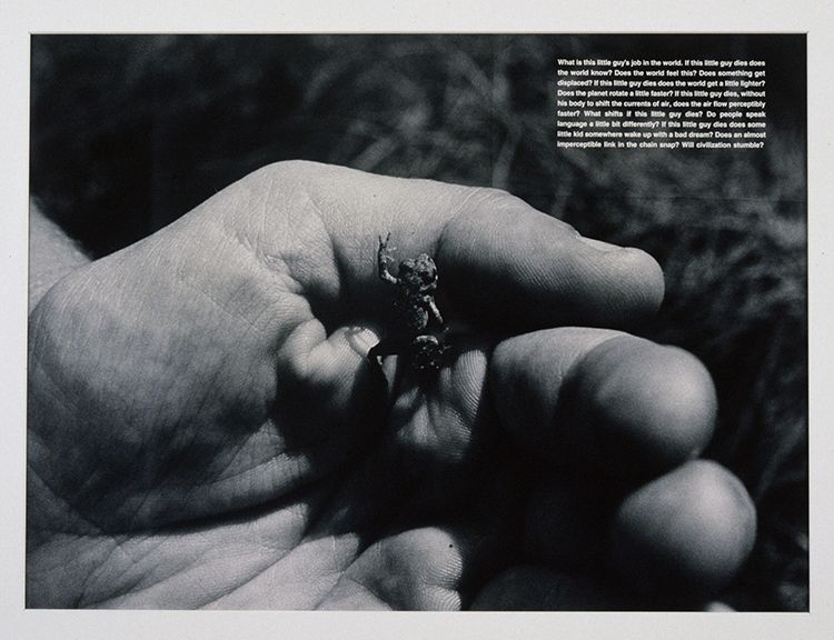 David Wojnarowicz What is this little guy's job in the world, 1990