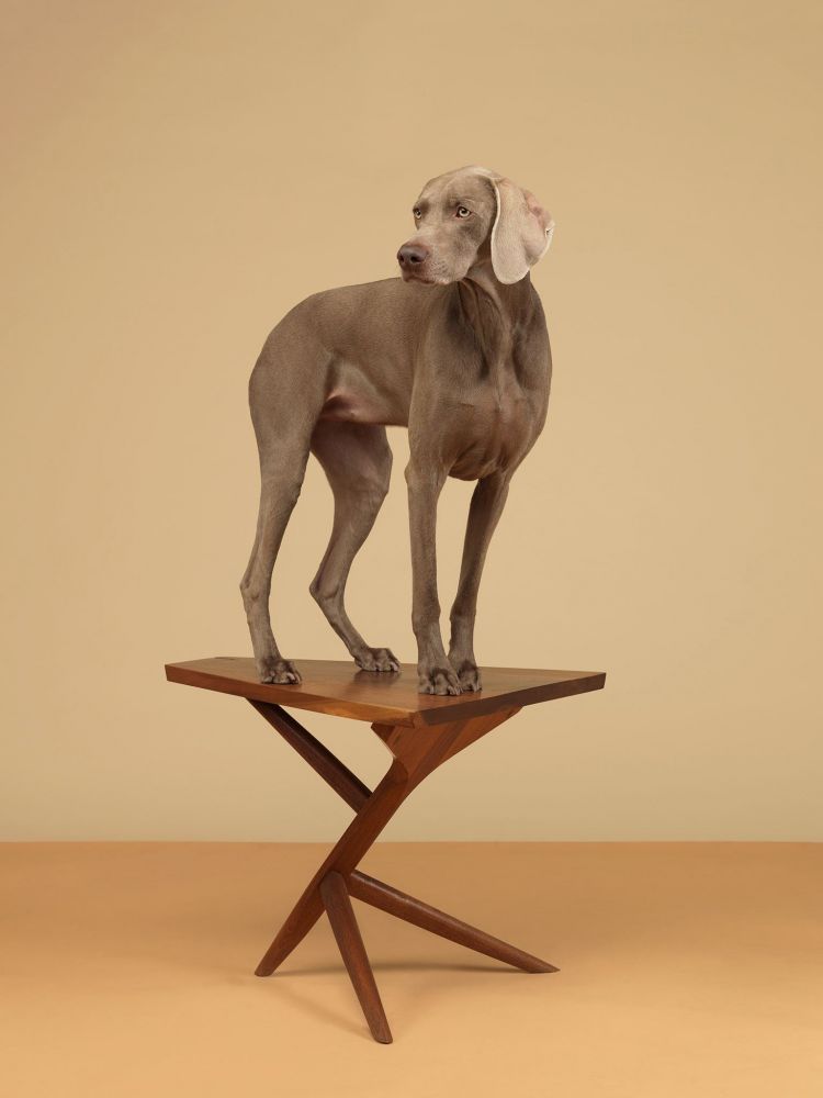 7 Legs, 2015