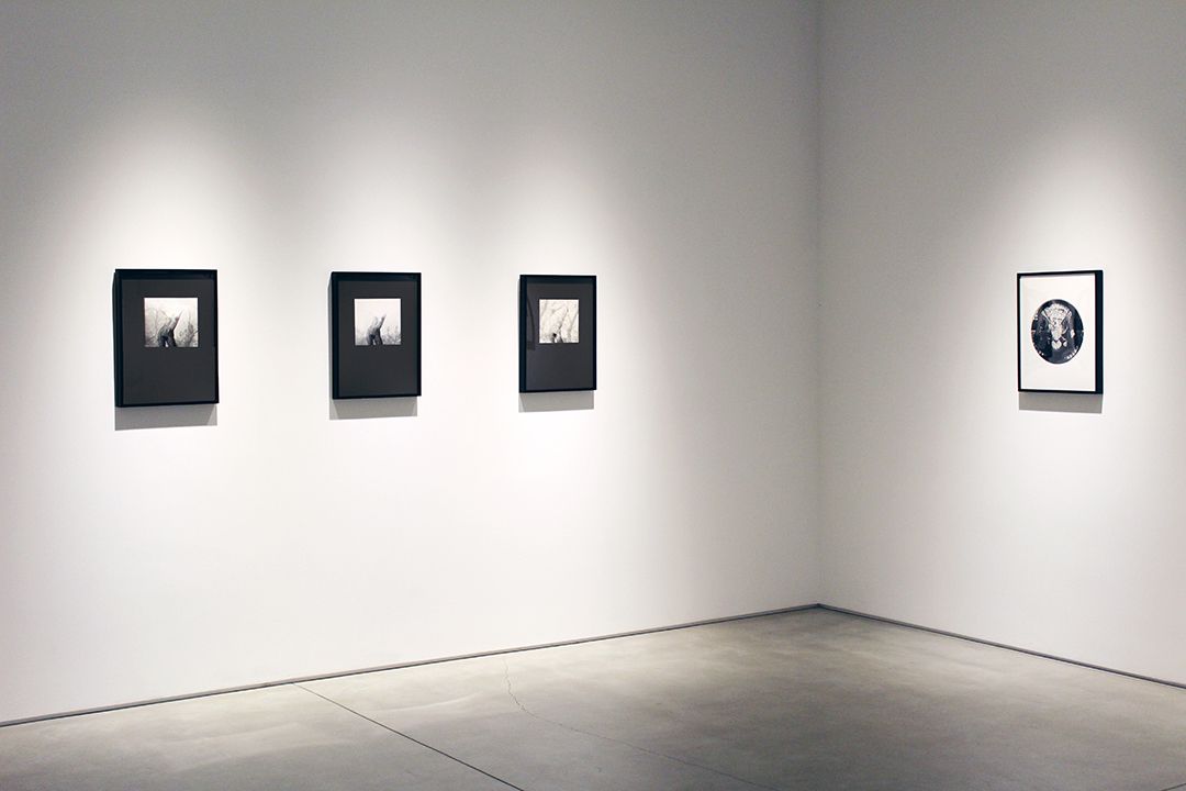 Harry Callahan & Robert Heinecken Figures in Transformation, installation view