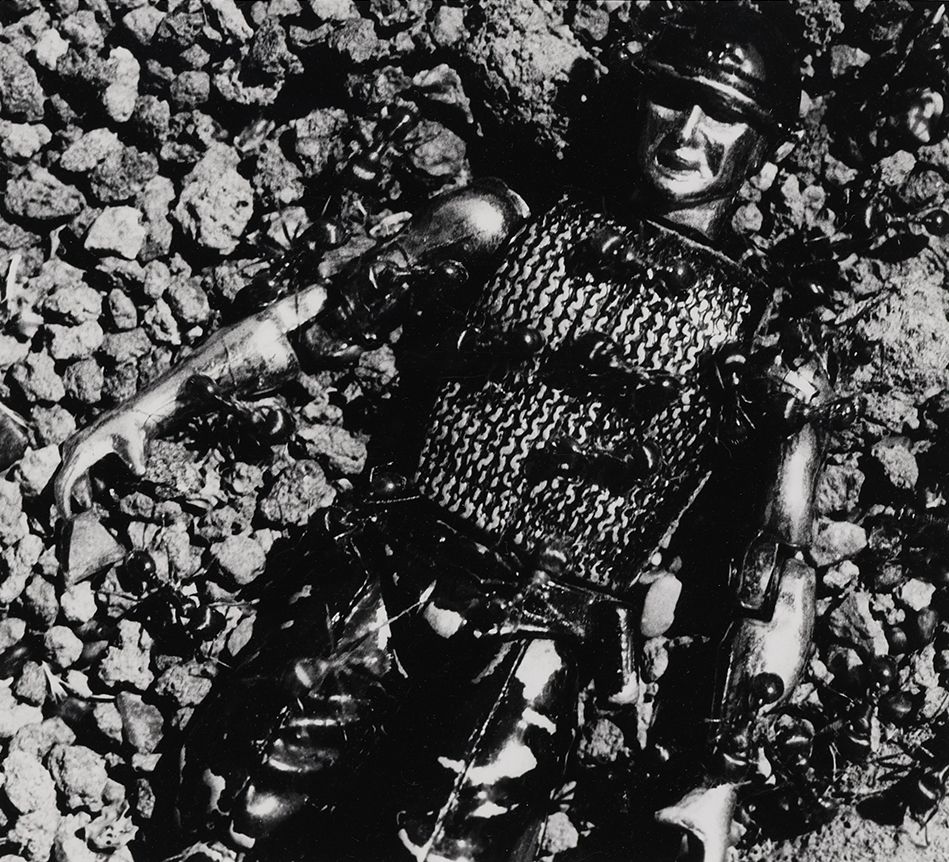 David Wojnarowicz Untitled (Control) from the Ant Series, 1988-89