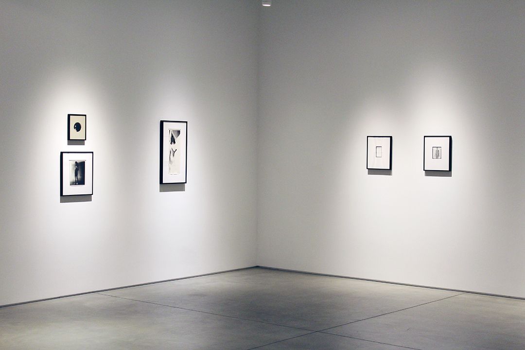 Harry Callahan & Robert Heinecken Figures in Transformation, installation view