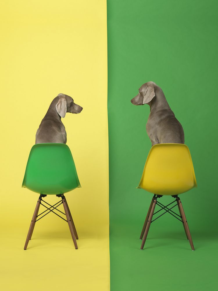 Yellow Two Green, 2015