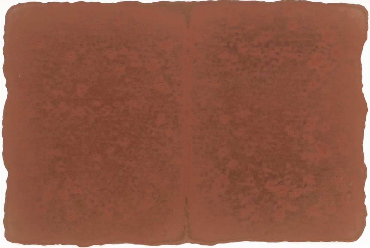 Michelle Stuart, Small Ledger: Near Town Creek Mound, North Carolina, 1980