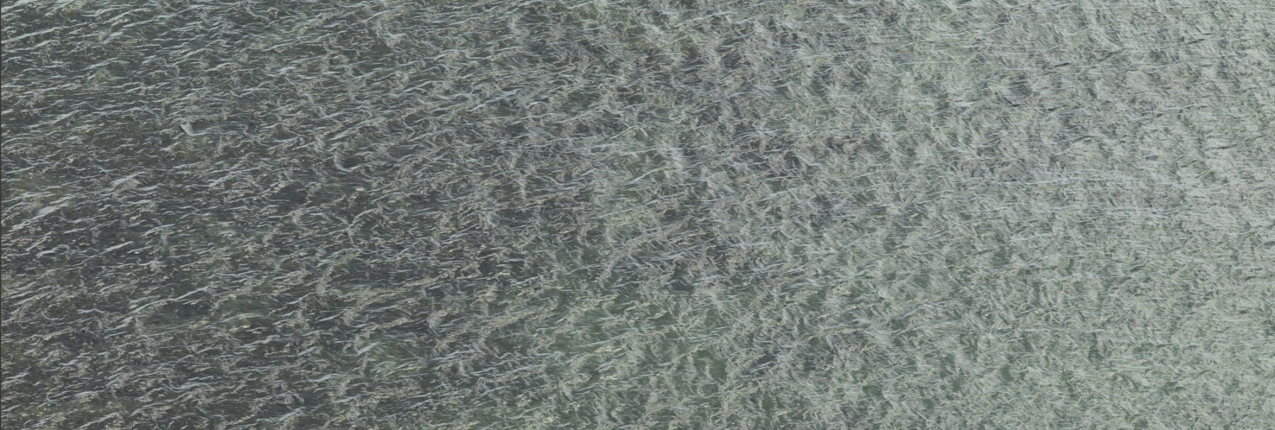 Untitled (November 11, 2013 2:26 PM), 2013