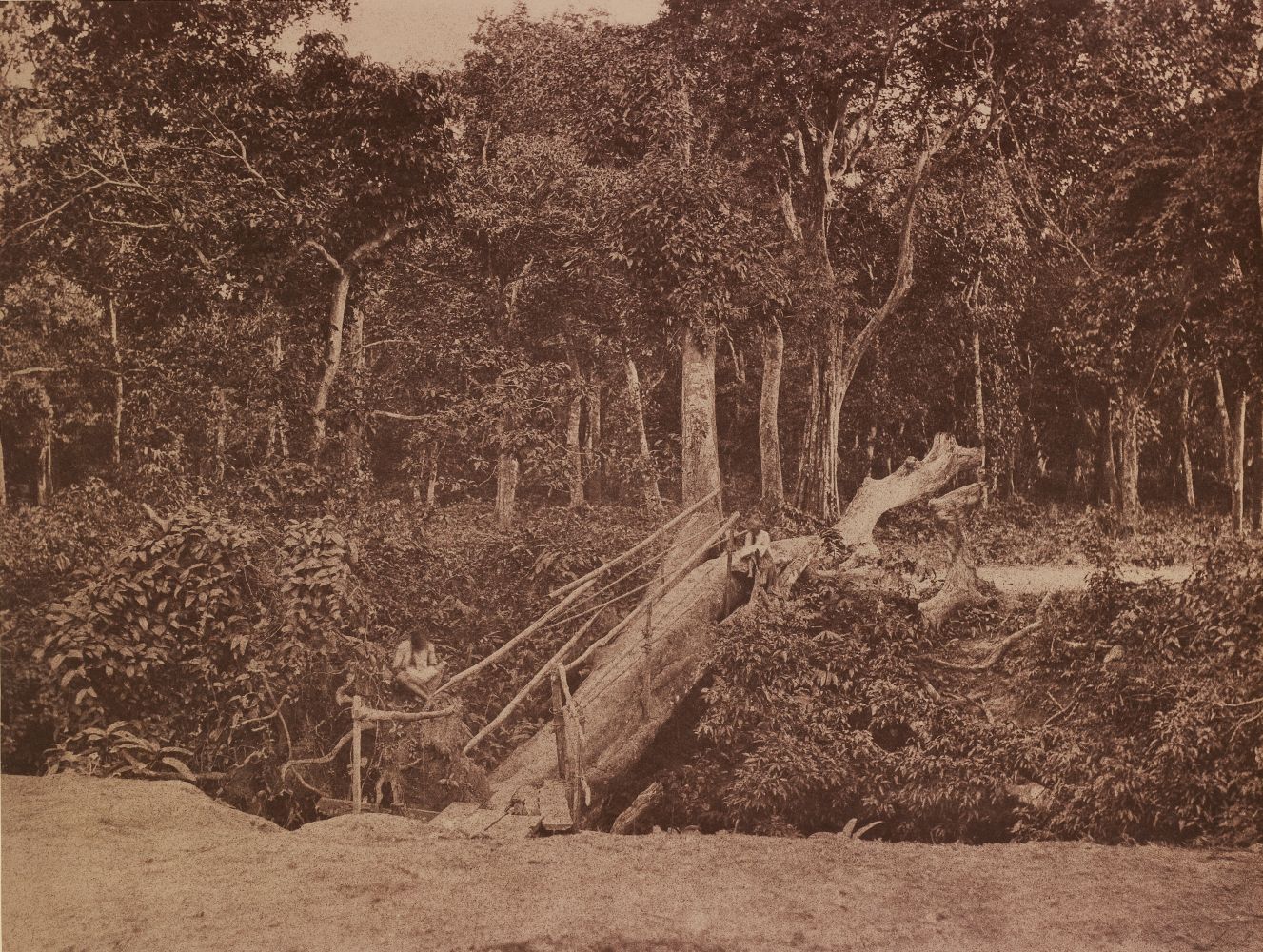 Captain Linnaeus TRIPE (English, 1822-1902) "No. 118. Rangoon. Natural Bridge." Burma, 1855 Albumenized salt print from a waxed paper negative 25.2 x 33.3 cm mounted on 45.6 x 58.3 cm paper Signed "L. Tripe" in ink. Photographer's blindstamp and printed label with plate number, title and "A fallen tree over Tiger Alley near the American Mission at Kemindine." on mount.