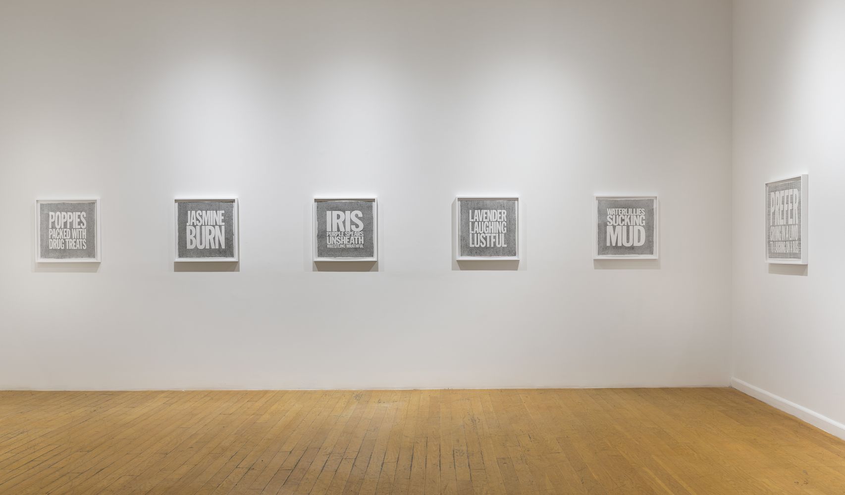 Installation View of Perfect Flowers at Elizabeth Dee Gallery, 2017
