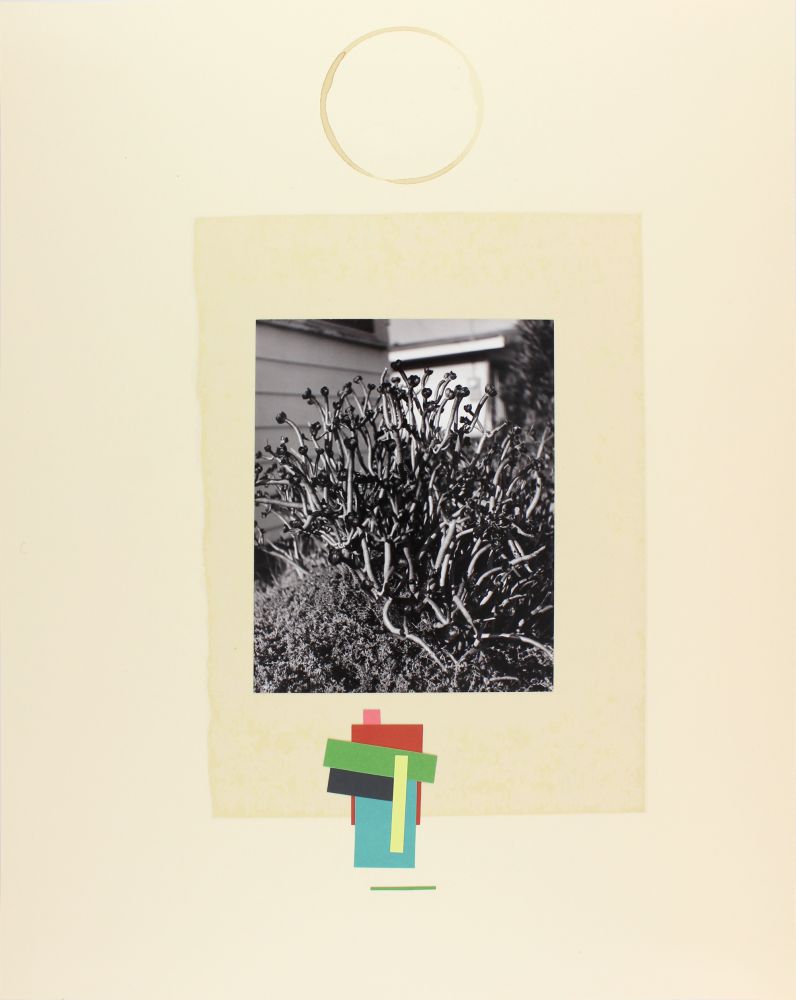 John Gossage, Untitled (Distraction), 1994