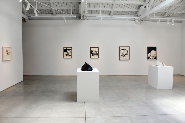 Hannah Wilke Drawings and Sculptures, installation view