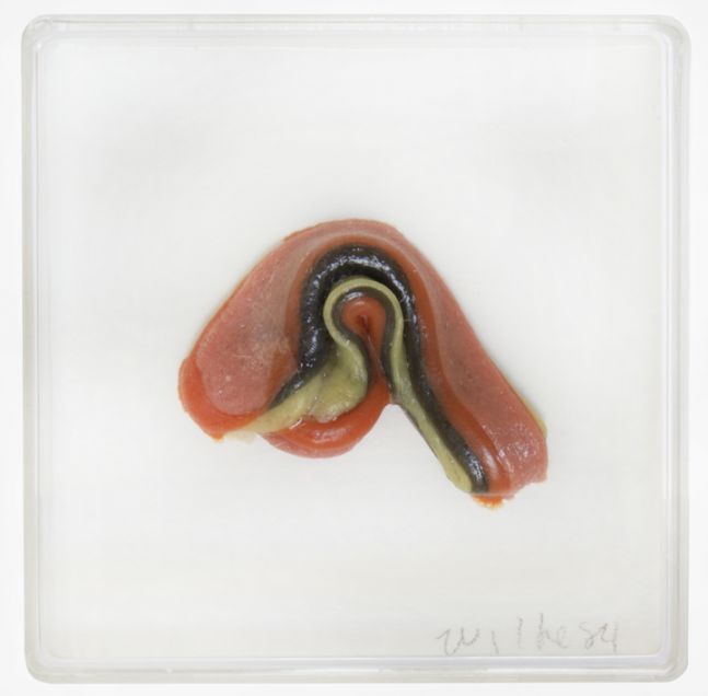 Hannah Wilke Untitled (Single Gum Sculpture), 1984