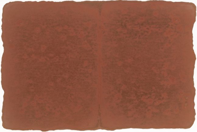 Small Ledger: Near Town Creek Mound, North Carolina, 1980