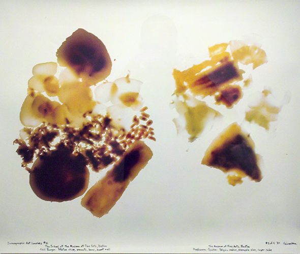 Iconographic Art Lunches # 2. The School of the Museum of Fine Arts: Boston: (chili burger, Potato chips, peanuts, buns, sweet roll); The Museum of Fine Arts, Boston: (Mushroom quiche, Belgian endive, pineapple slice, layer cake), 1984