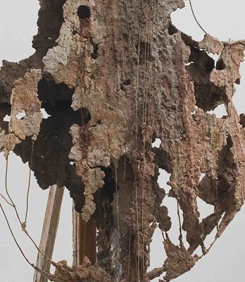 Cello #6, 2001 (detail)