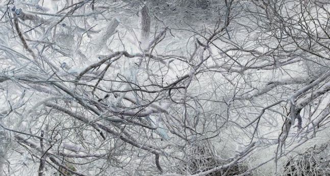 Untitled (364030#FC), 2014