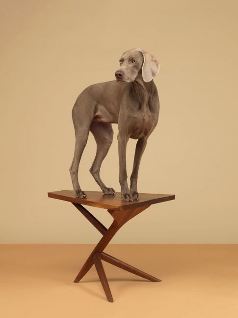 7 Legs, 2015