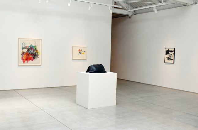 Hannah Wilke Drawings and Sculptures, installation view