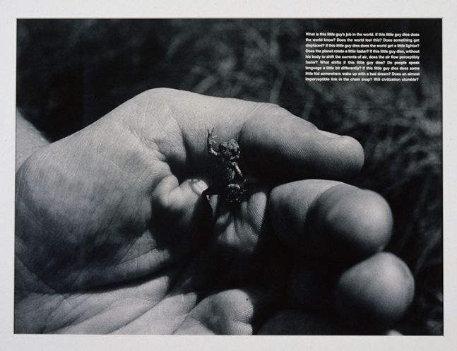 David Wojnarowicz What is this little guy's job in the world, 1990