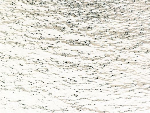 Untitled, 2007