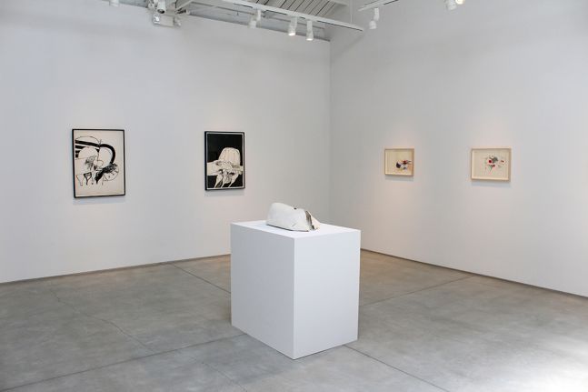 Hannah Wilke Drawings and Sculptures, installation view