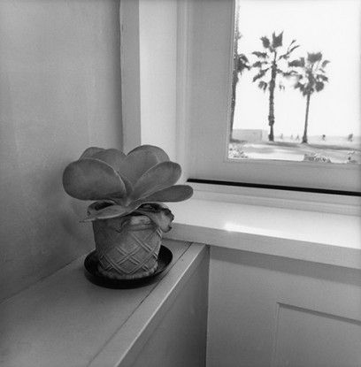 Los Angeles, 2006